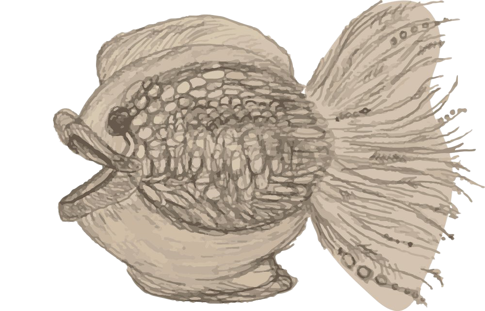 Fishy.png