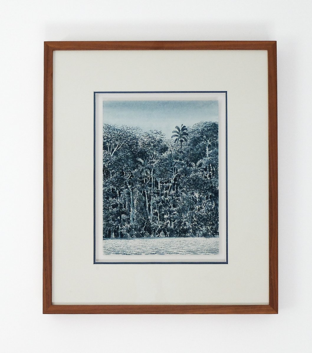 tomas Sanchez ink watercolor paper 1986