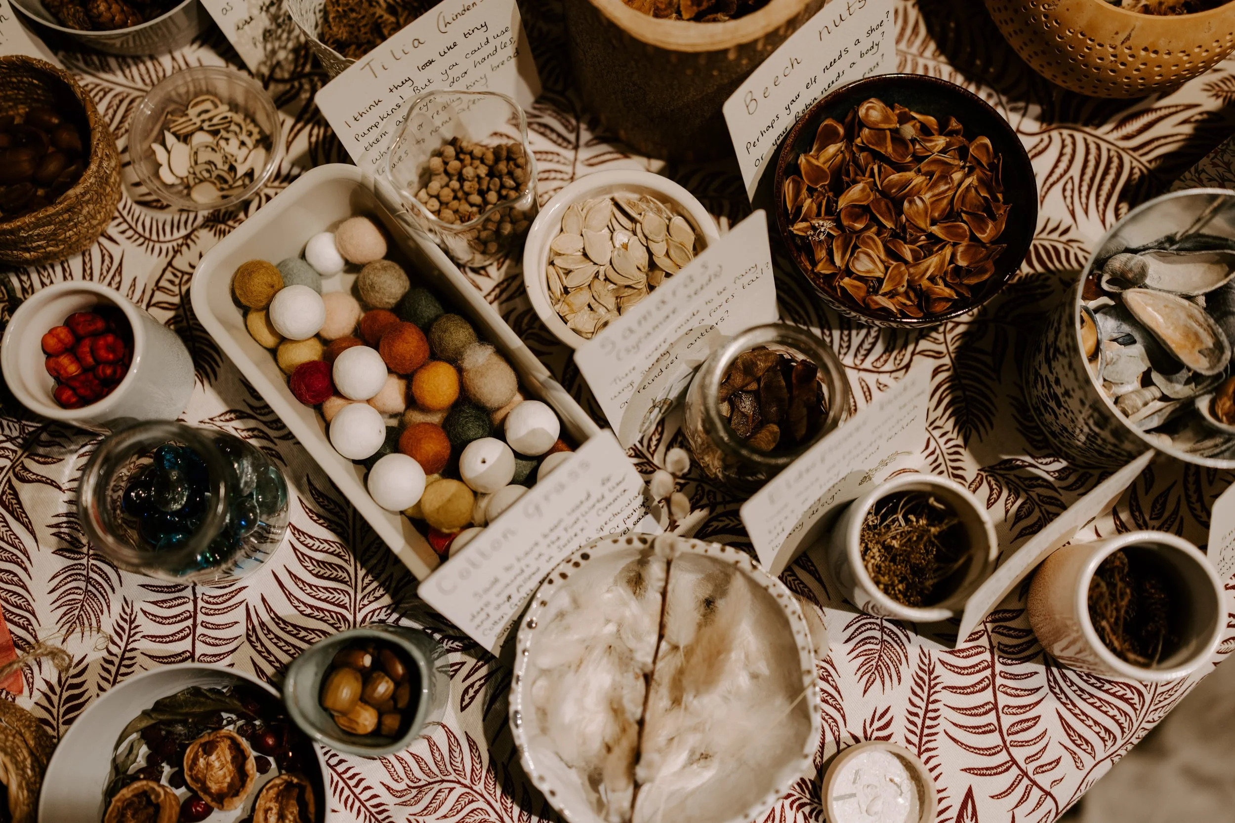 An image of foraged craft materials for the Cocktails and Craft event in November 2025 at Owd Barn Bispham, Rufford.