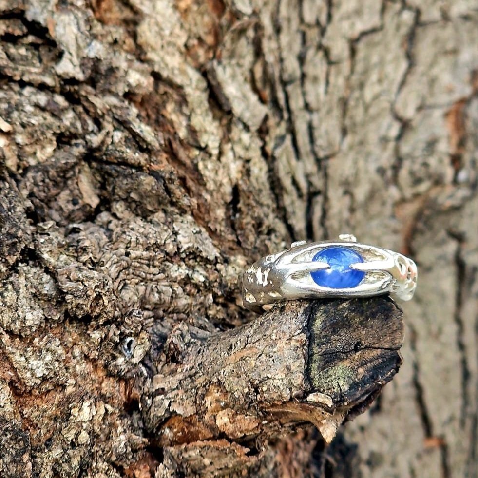 Ring+30_1.jpg