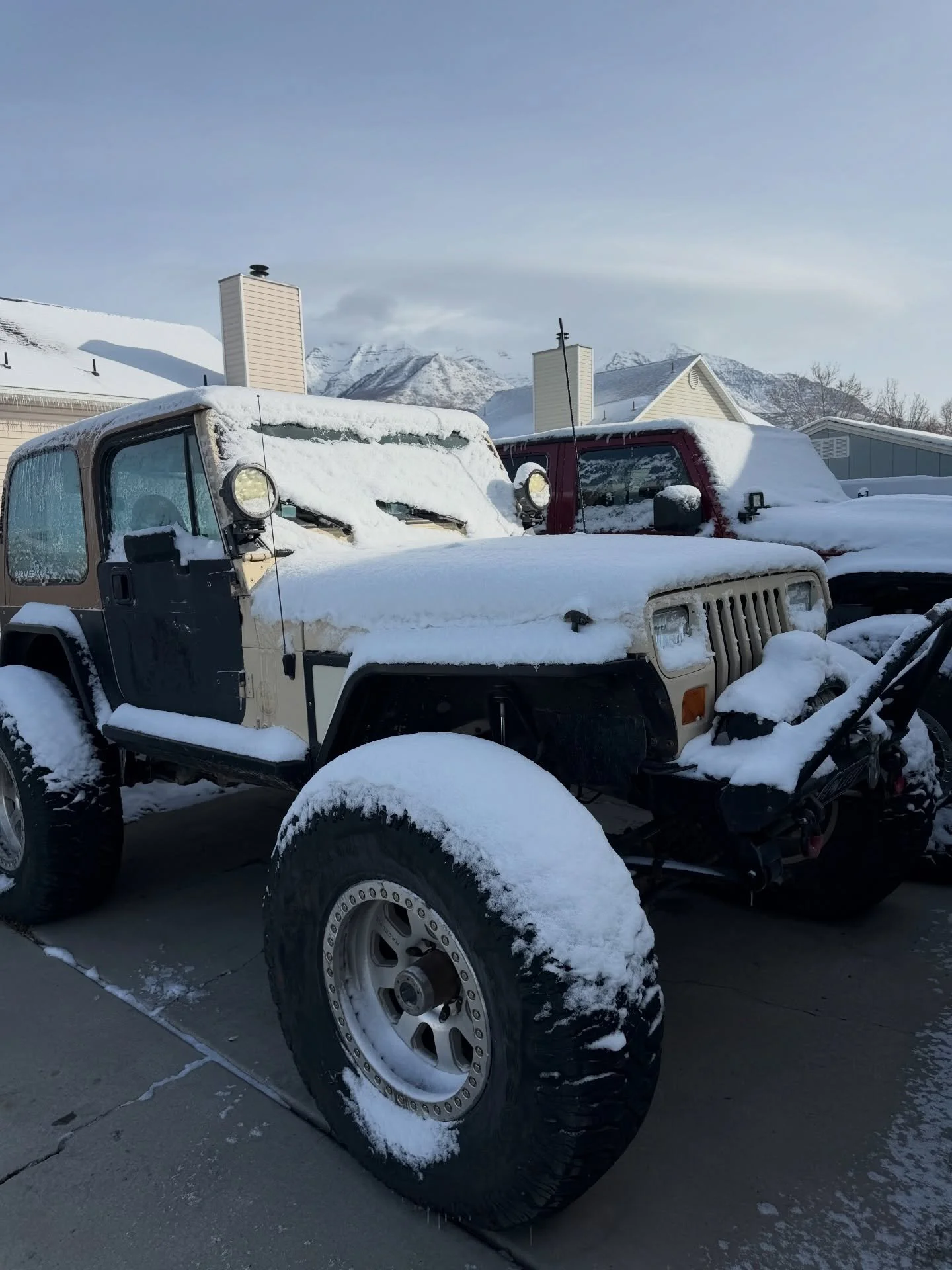 What&rsquo;s the saying? If you&rsquo;re cold, they&rsquo;re cold? Bring them inside too? 😂🥶