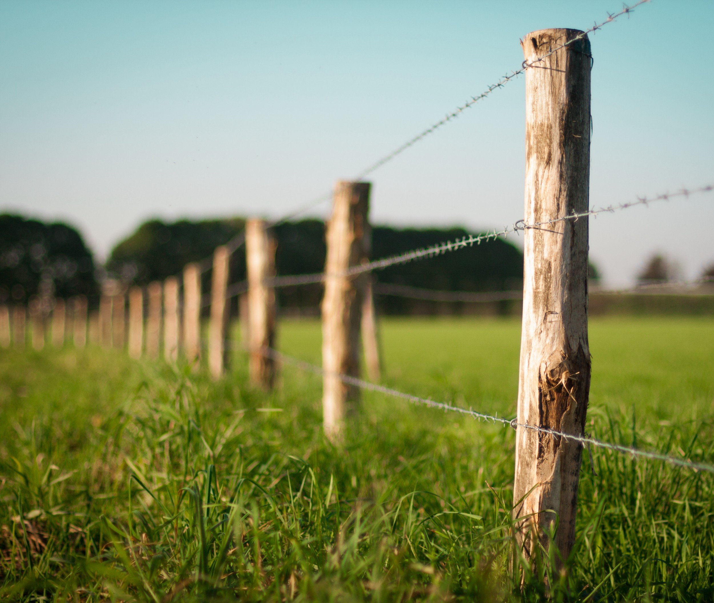 What Is an Encroachment and How Is It Resolved?