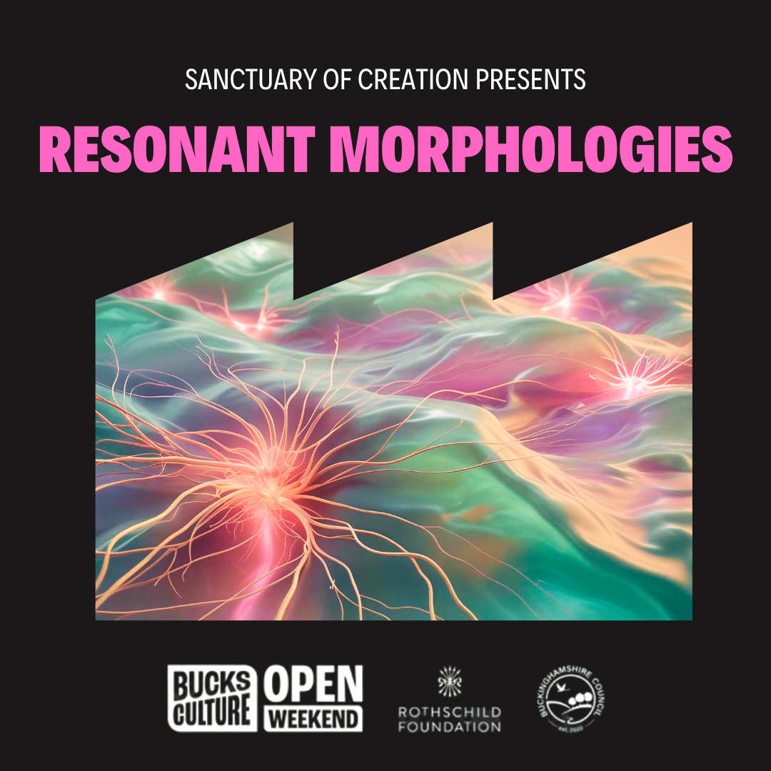 Discover the Hidden Architectures of Energy in Resonant Morphologies at Bucks Open Weekend