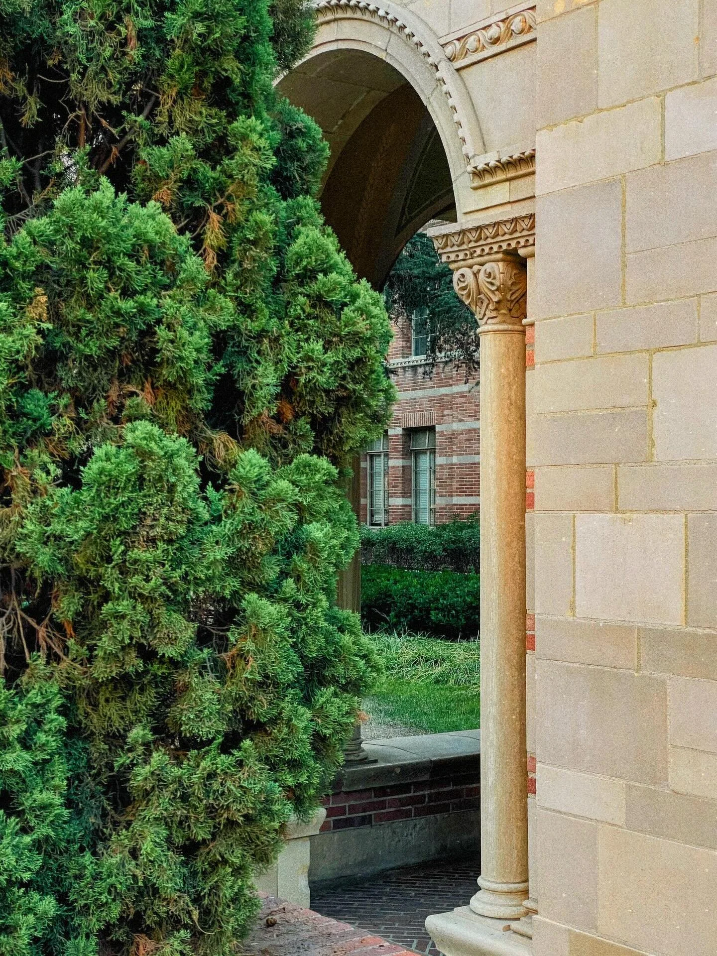 @ucla&rsquo;s arches in the autumn sun 🌞 #october 

#ucla #campus #university #architecture #postoftheday #explore