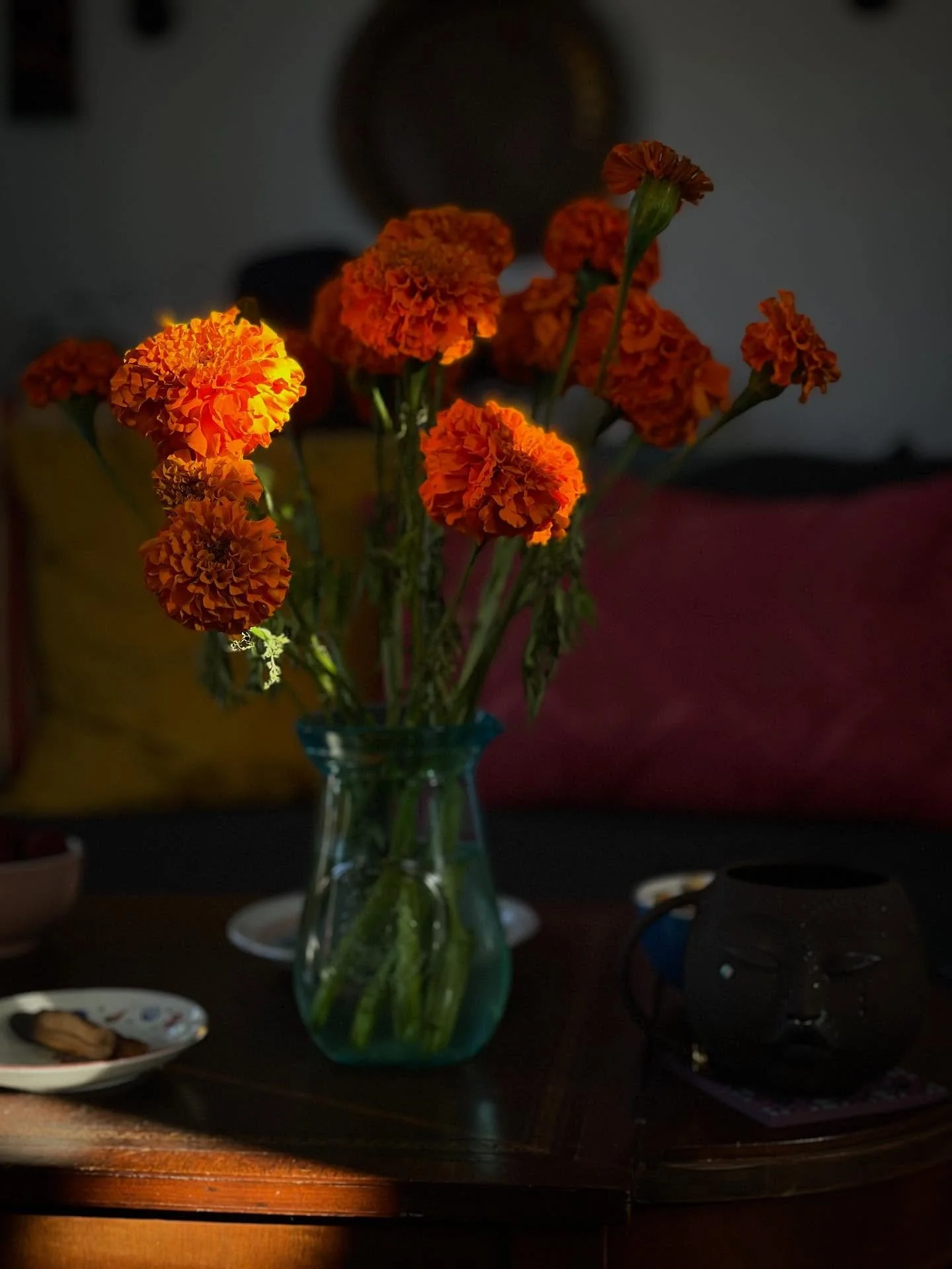 cempohualxochitl glimmering under the light of the morning mehr 🏵️🌞✨

#happysunday #sunday #morning #sunlight #marigolds #autumn #fall #seasons #nature #stilllife #design #photoofday #postoftheday #explore