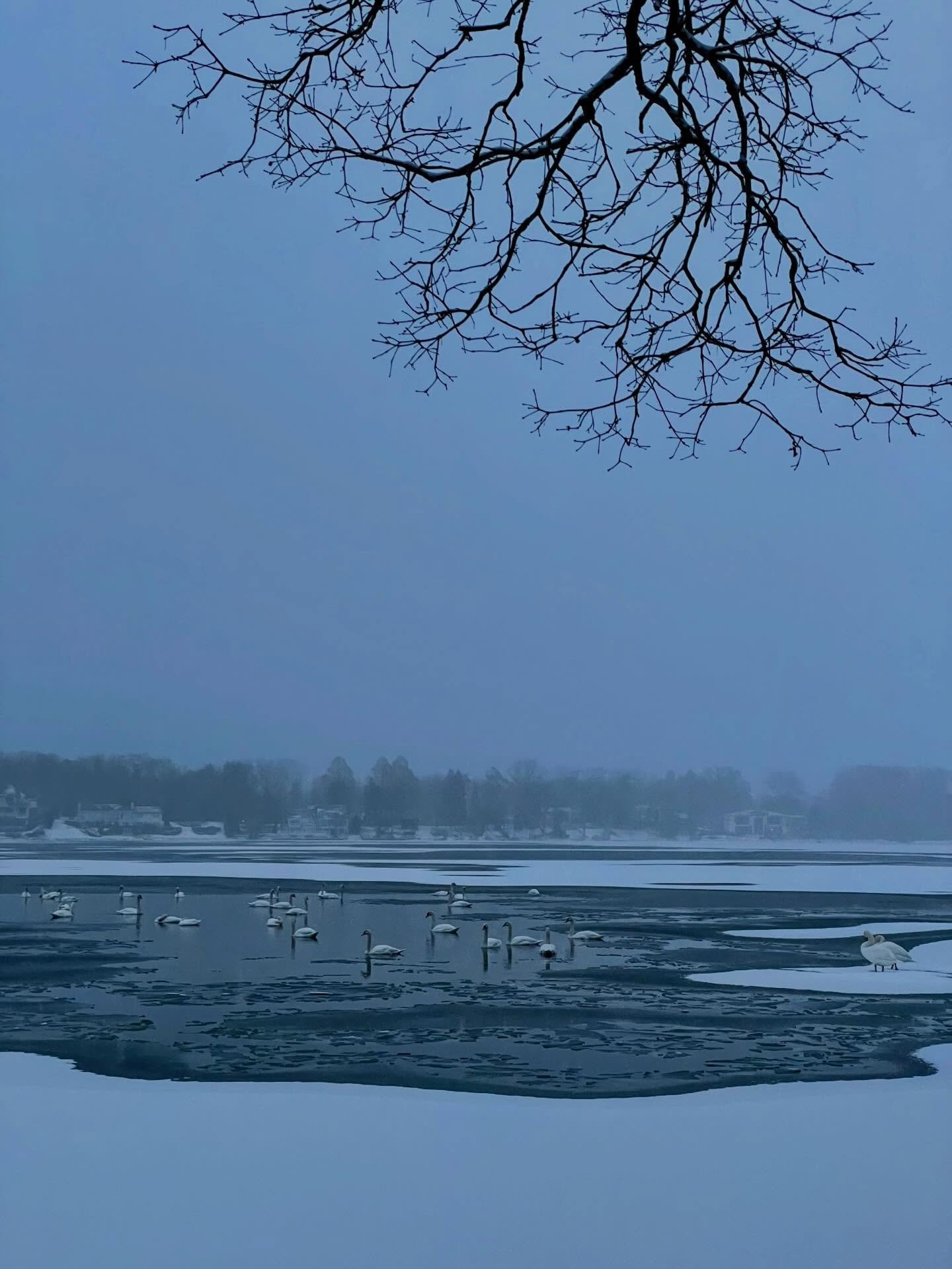 twenty-five to twenty-six