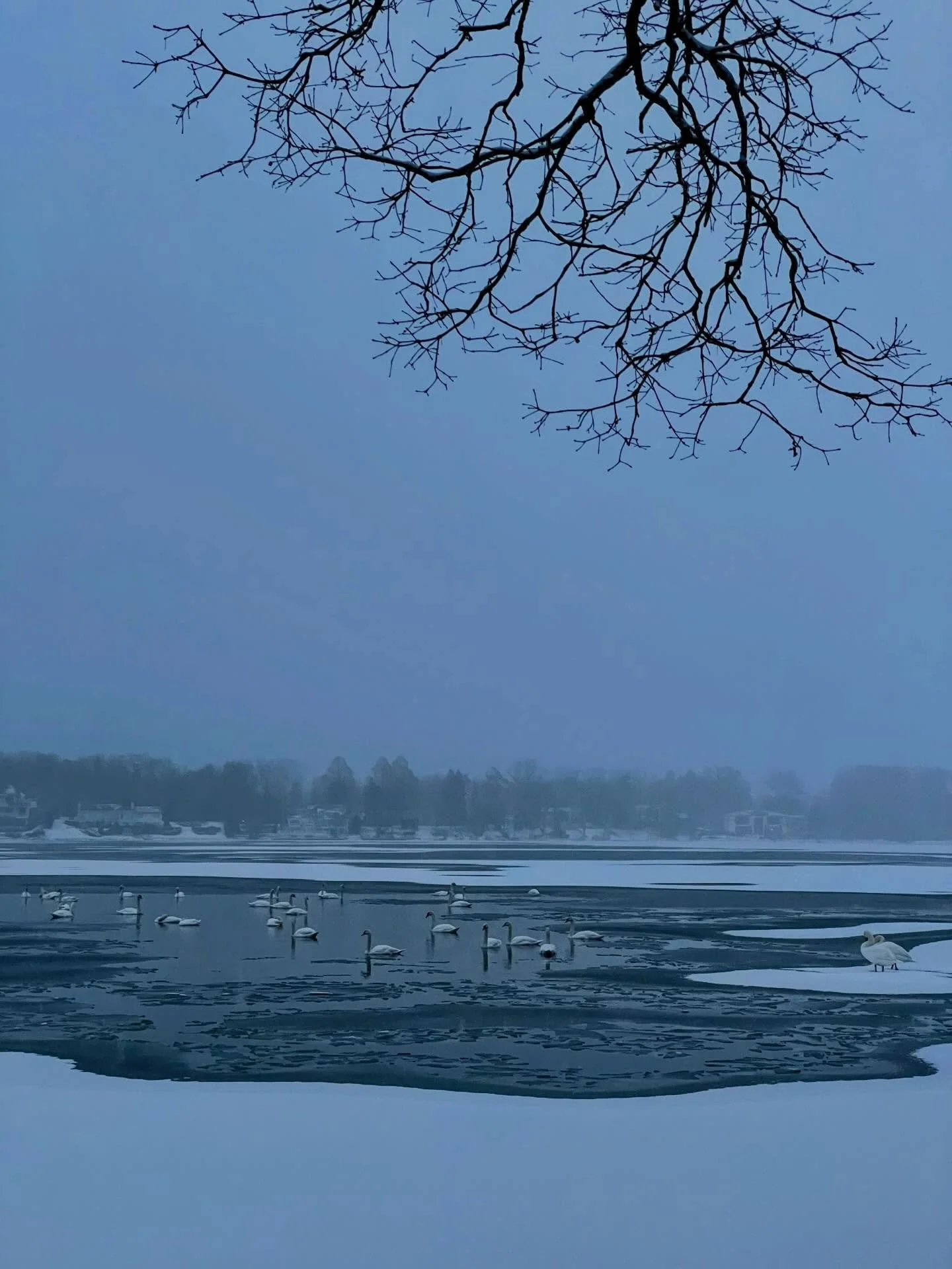 twenty-five to twenty-six