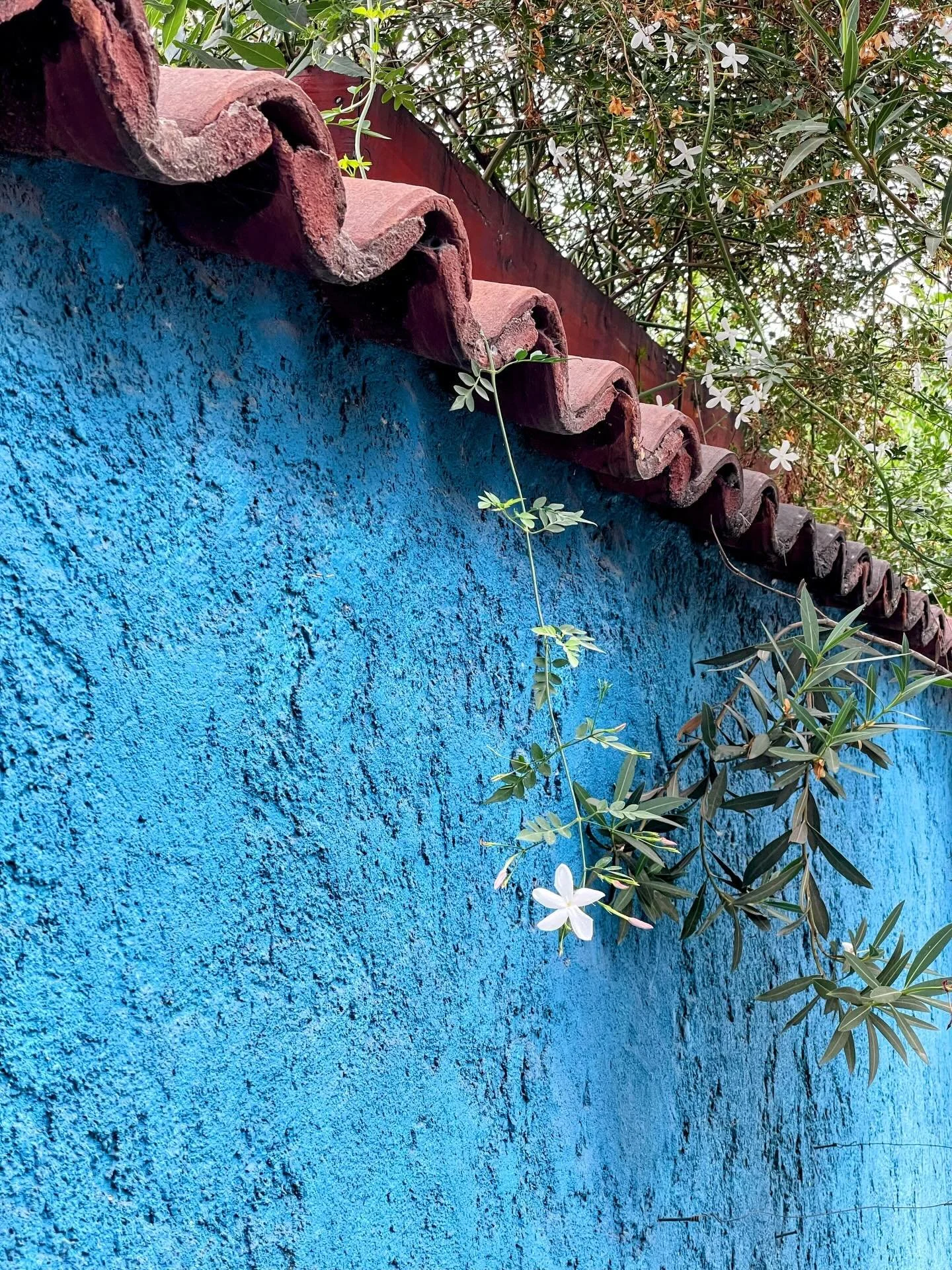 Santiago de Chile ❤️🤍💙

#santiago #chile #travel #seetheworld #photooftheday #postoftheday #exlpore #explorer #explorepage✨