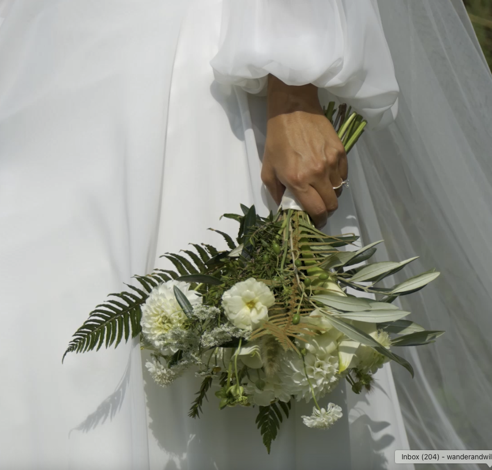 Bride in voyageurs national park