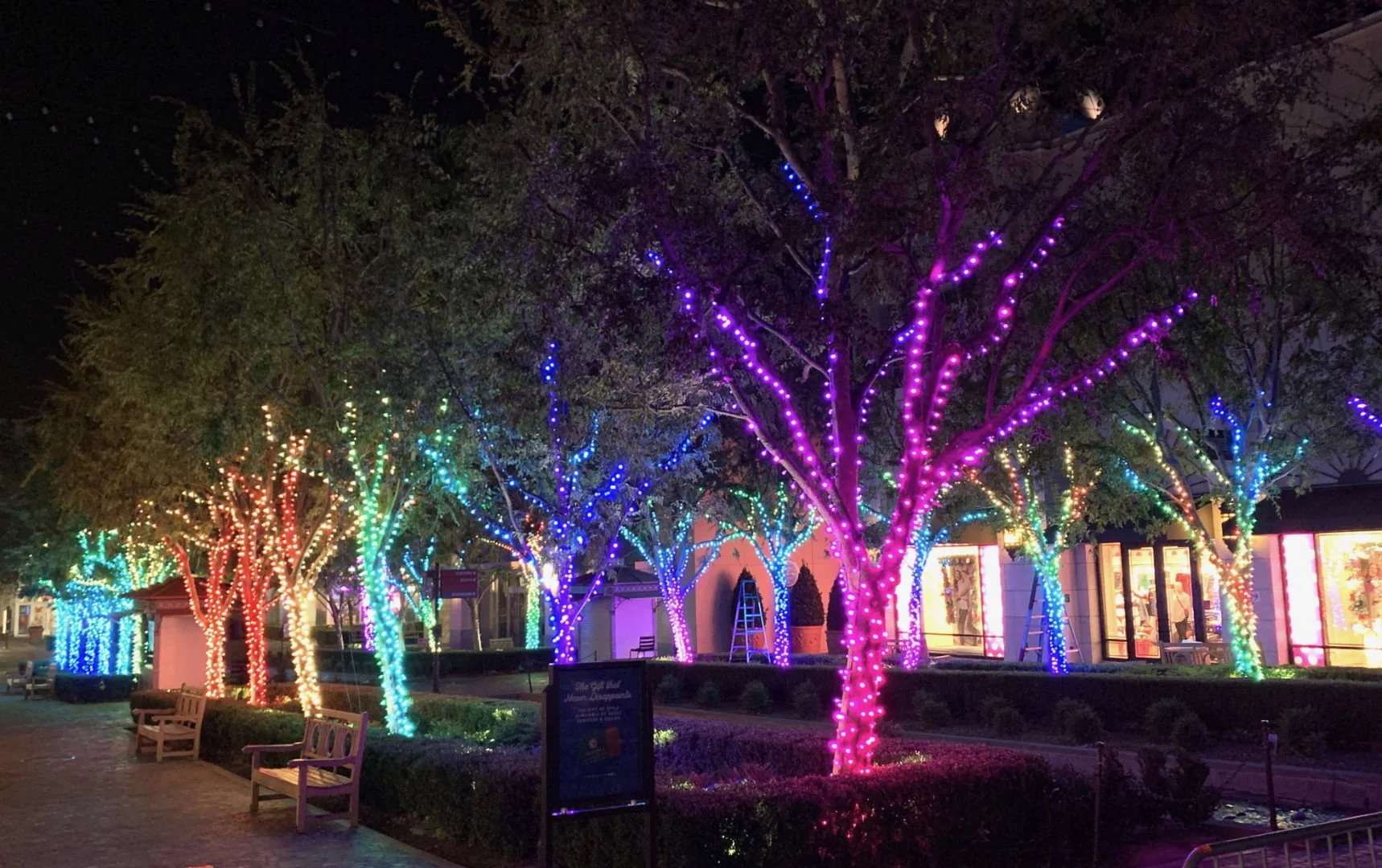 Screen Shot 2021-10-25 at 4.11.18 PM.jpg