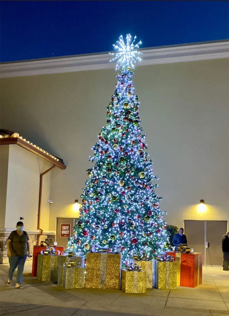 Screen Shot 2022-03-08 at 6.45.13 PM.jpg