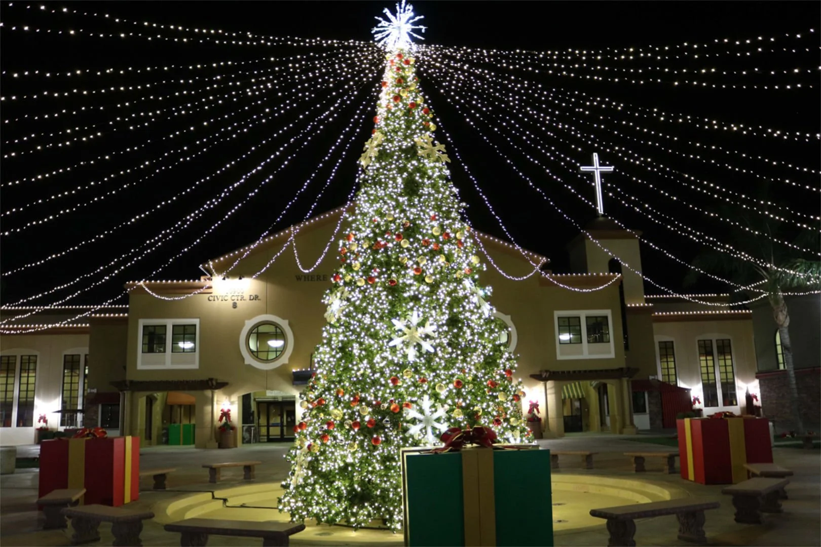 Abundant Tree-Canopy.jpg