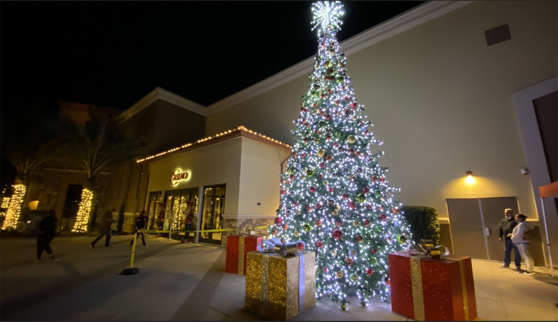 Screen Shot 2022-03-08 at 6.43.07 PM.jpg