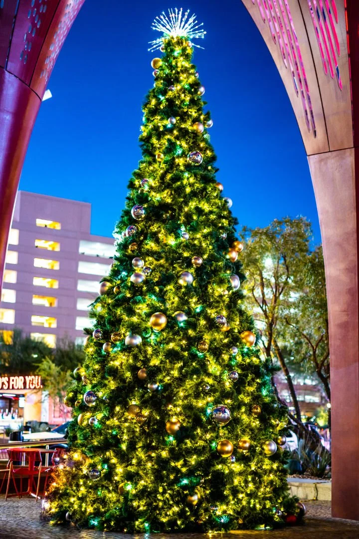 HeatherGuzelPhotography (7 of 82).jpg