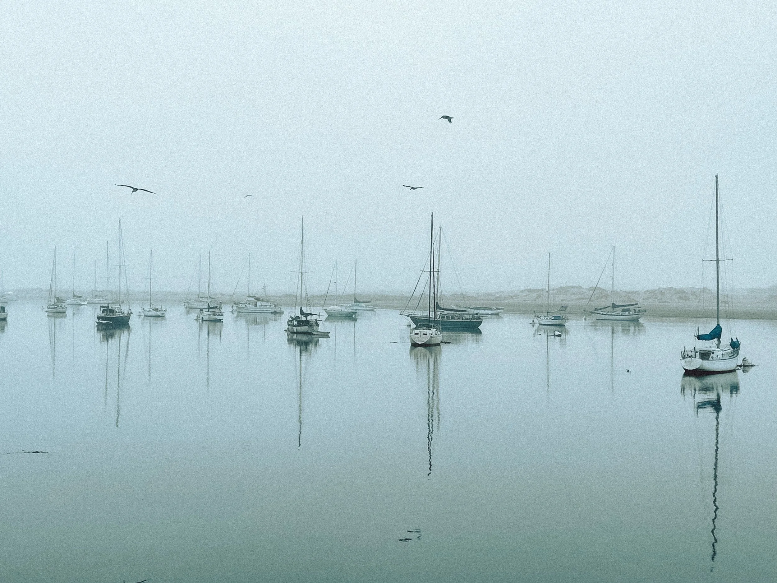 Edited 7.30.22-9 (1).jpeg