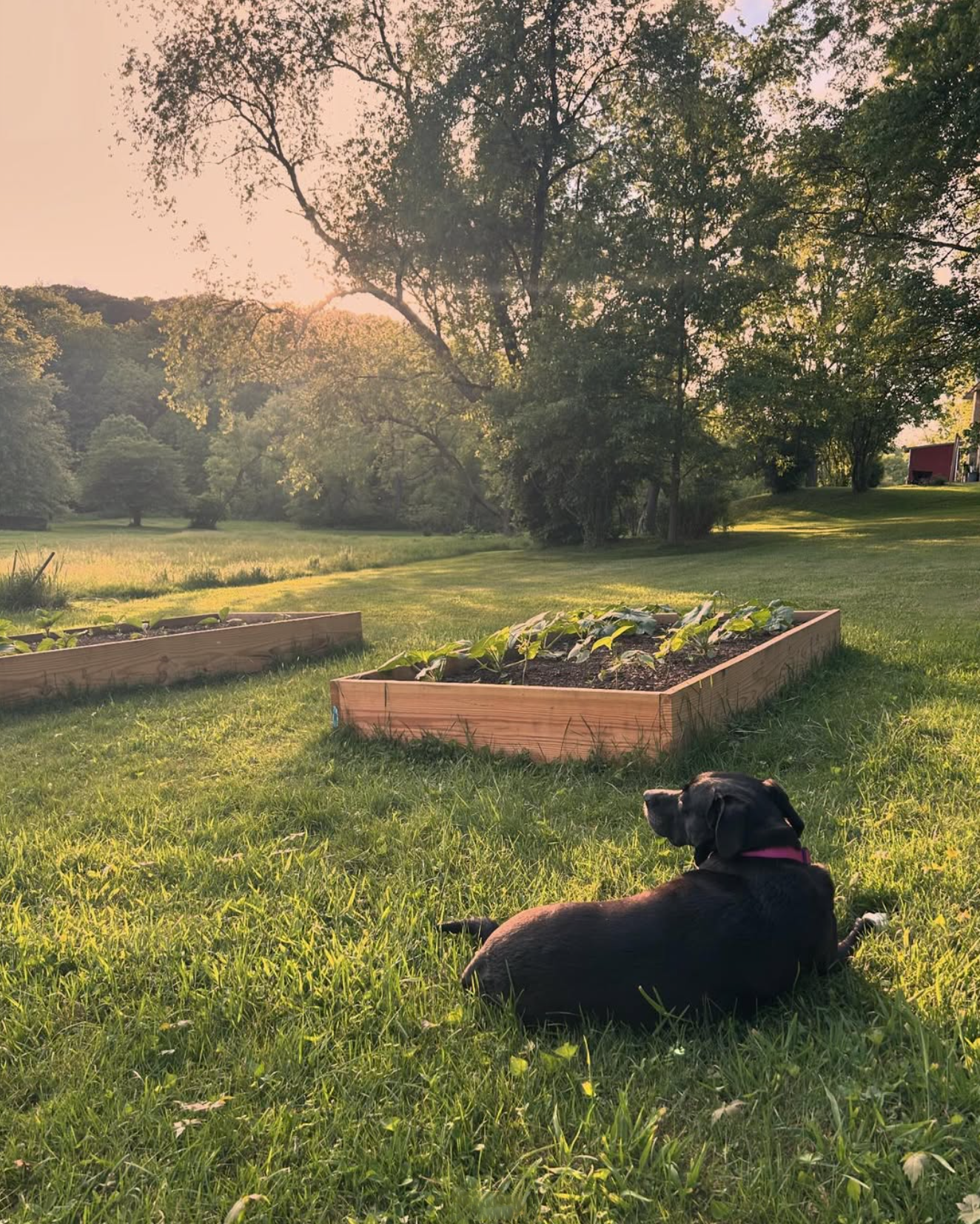 Reminder to step outside and breathe.