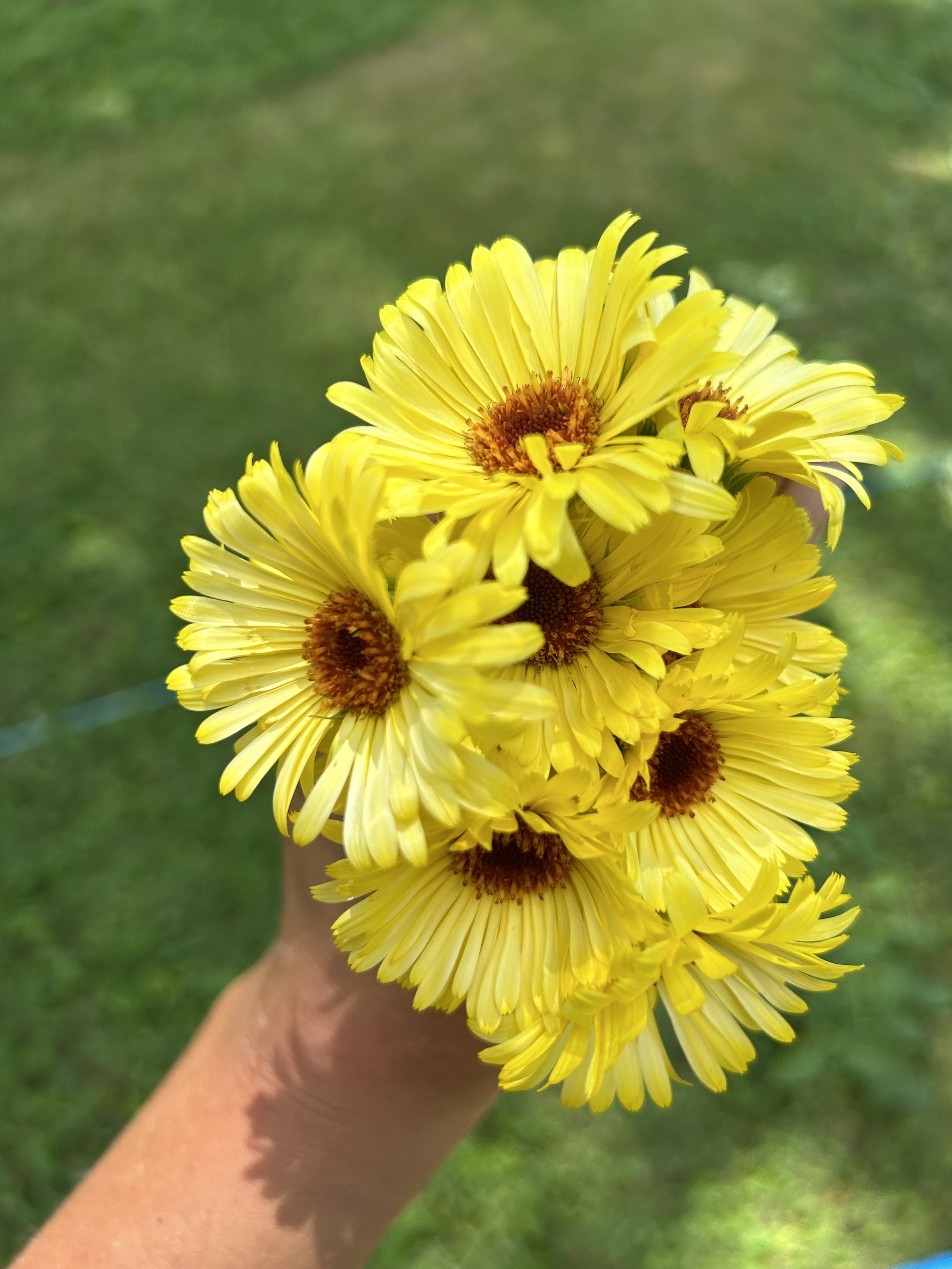 IMG_6168.jpeg
