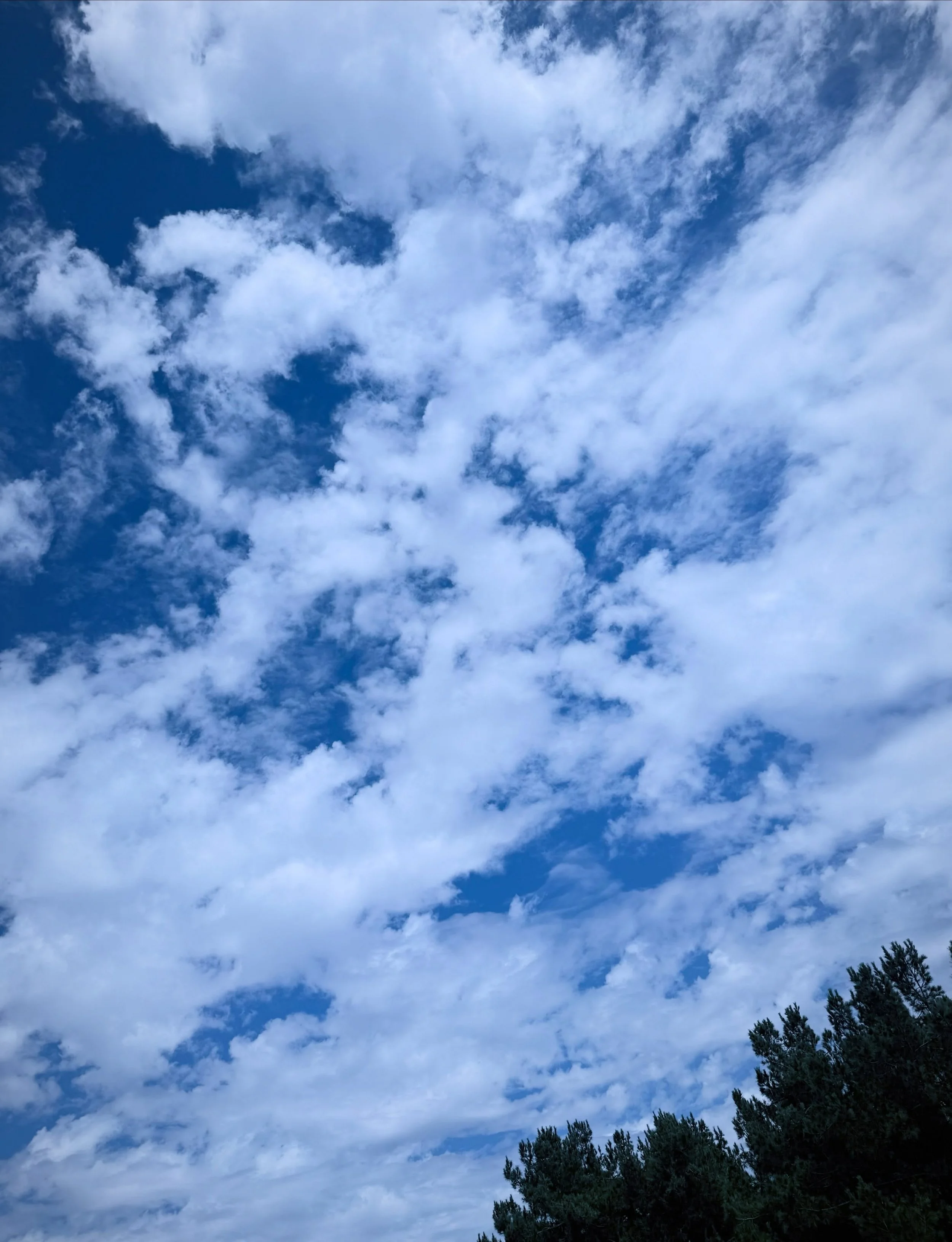Current view from my patio. Life is beautiful. ☁️☀️🌲