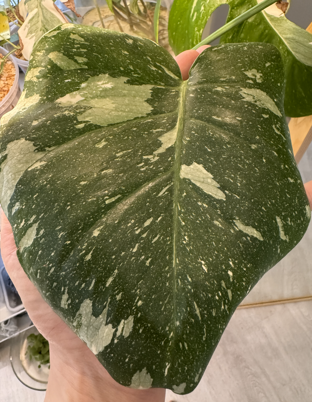 Screenshot 2026-01-27 160238.png