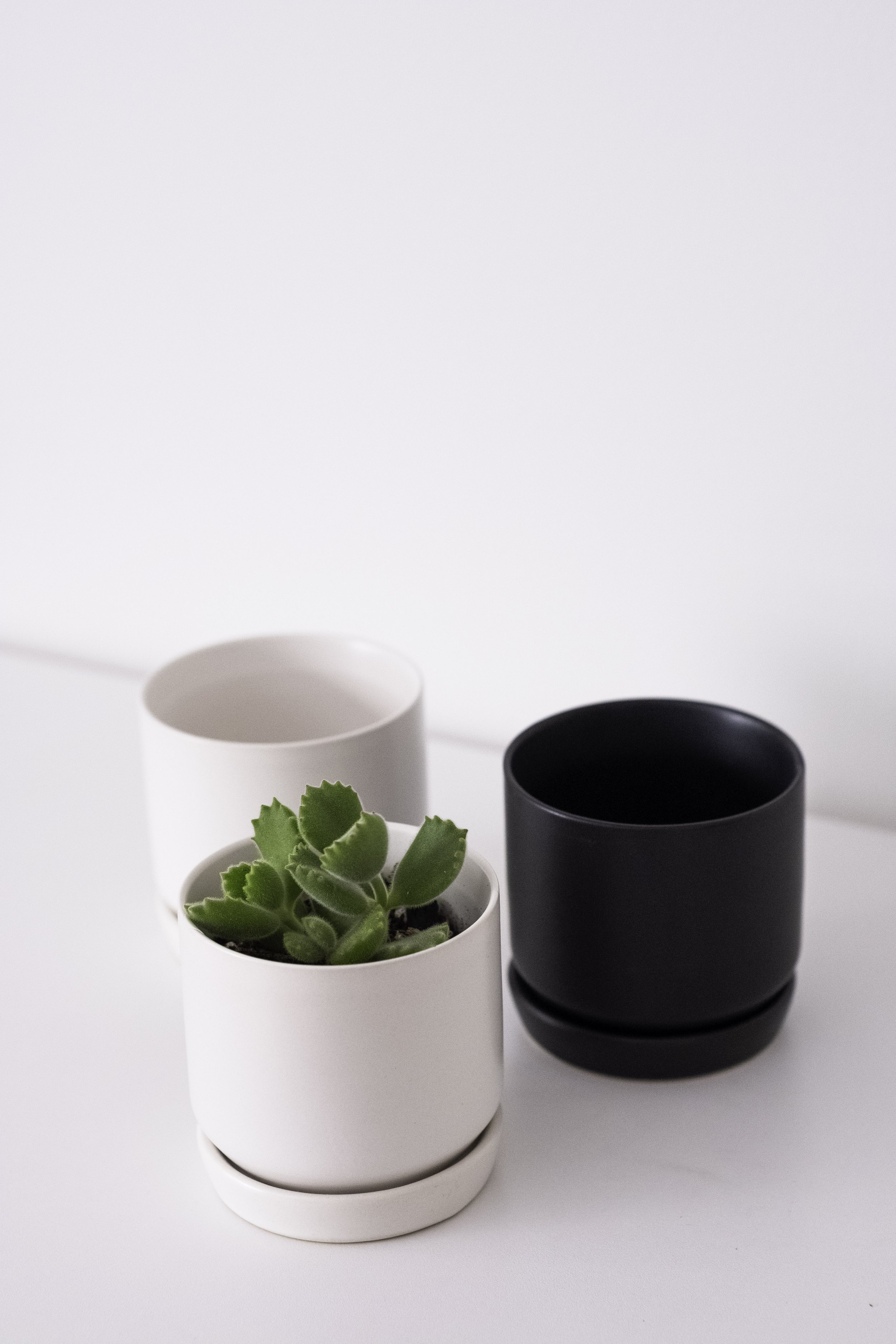 Mini Oslo Planter | 2 Colours