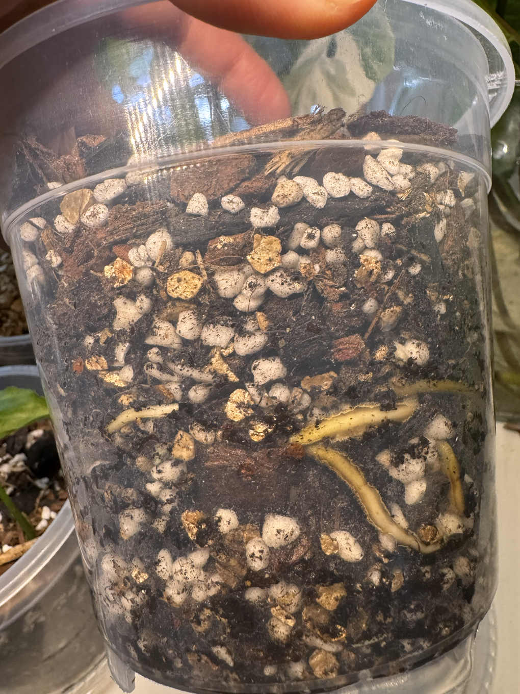 Screenshot 2026-01-27 160256.png