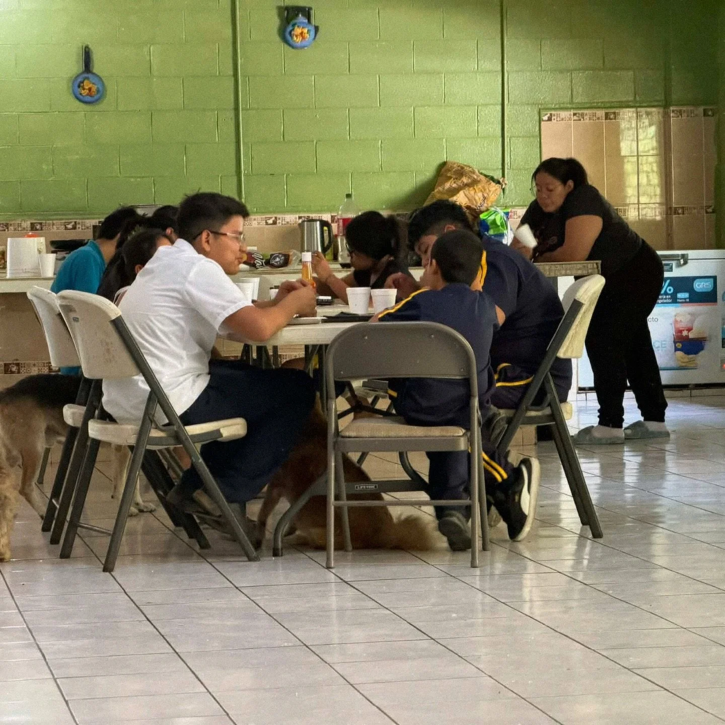 What if you could help one child dream again? ✨

Most of these kids didn&rsquo;t get a normal start.
No stability, no real shot&hellip; just survival.

But give a child love and consistency ❤️
and everything begins to change.

A dream forms. A future