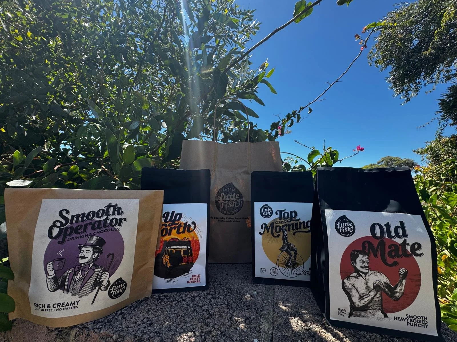 WhatsApp Image 2026-02-12 at 9.22.10 AM.jpeg