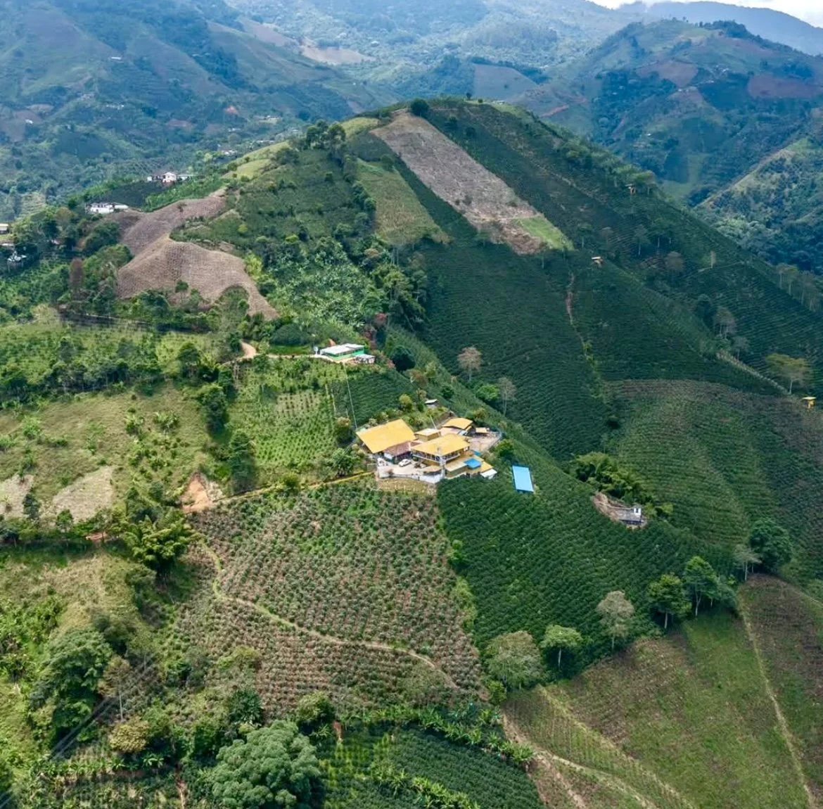 Casa Amarilla farm.jpg