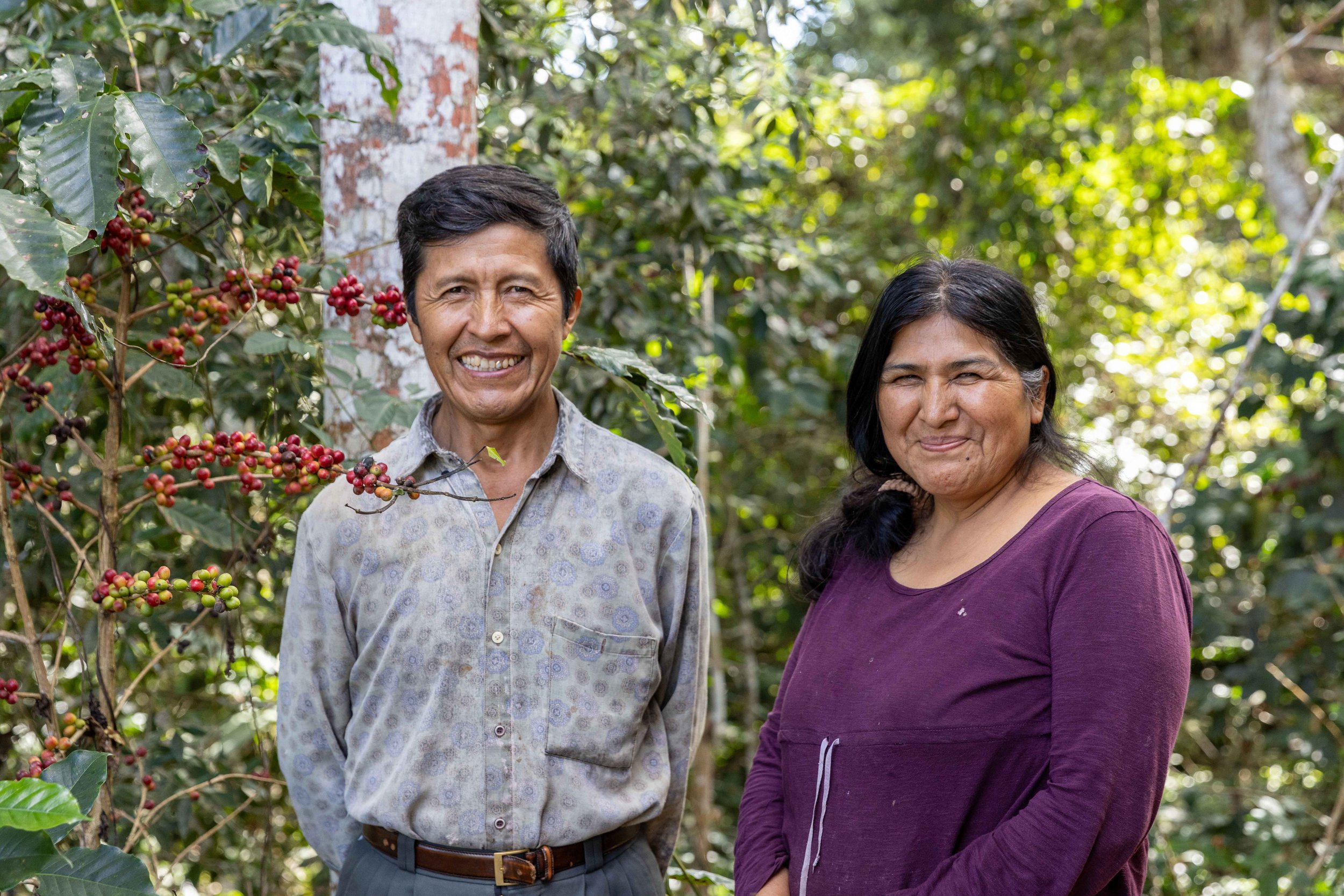 Cafe_Imports_Bolivia_Bird_Friendly-33-2026-04-29-152627.jpg