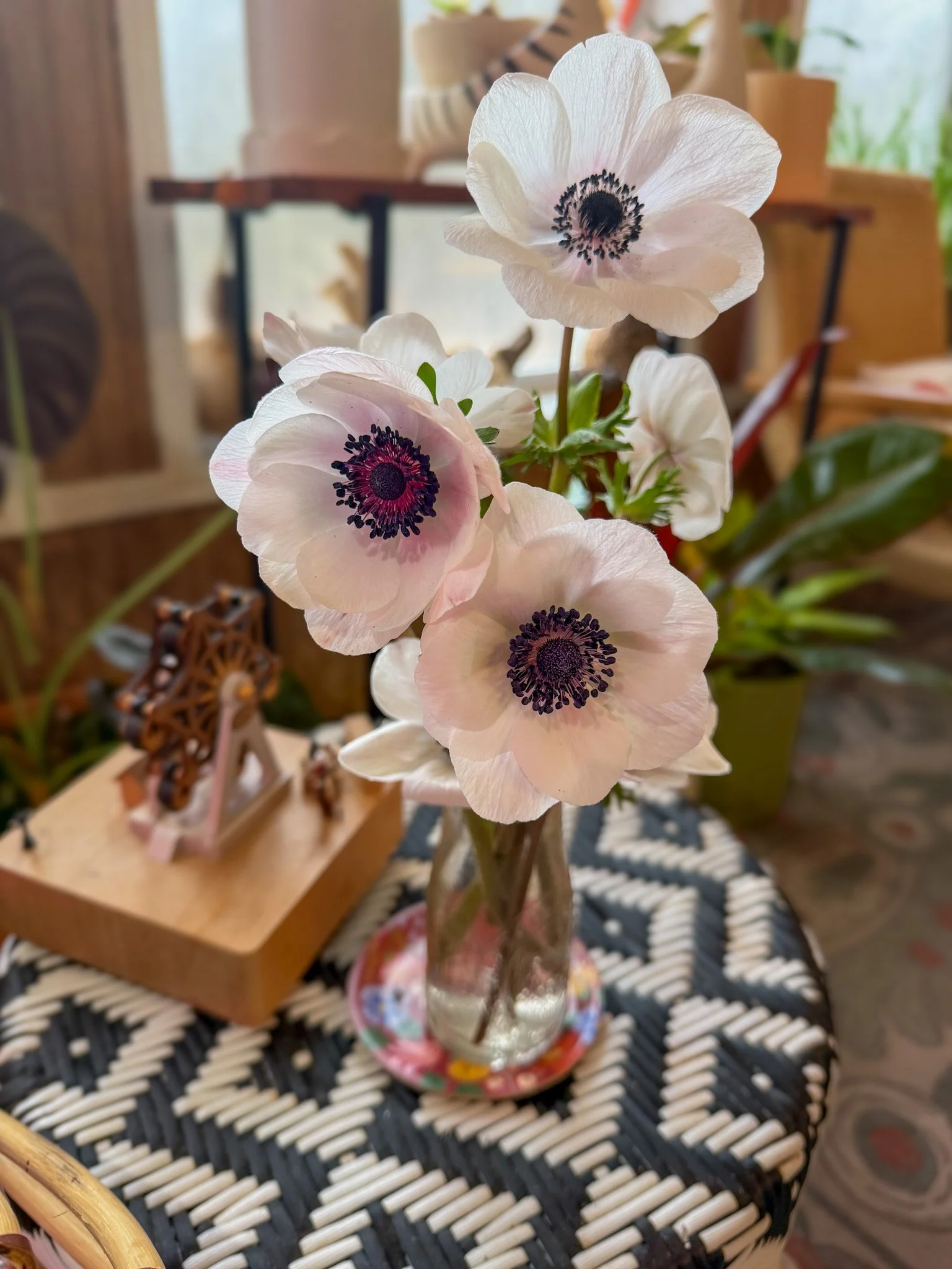Anemones