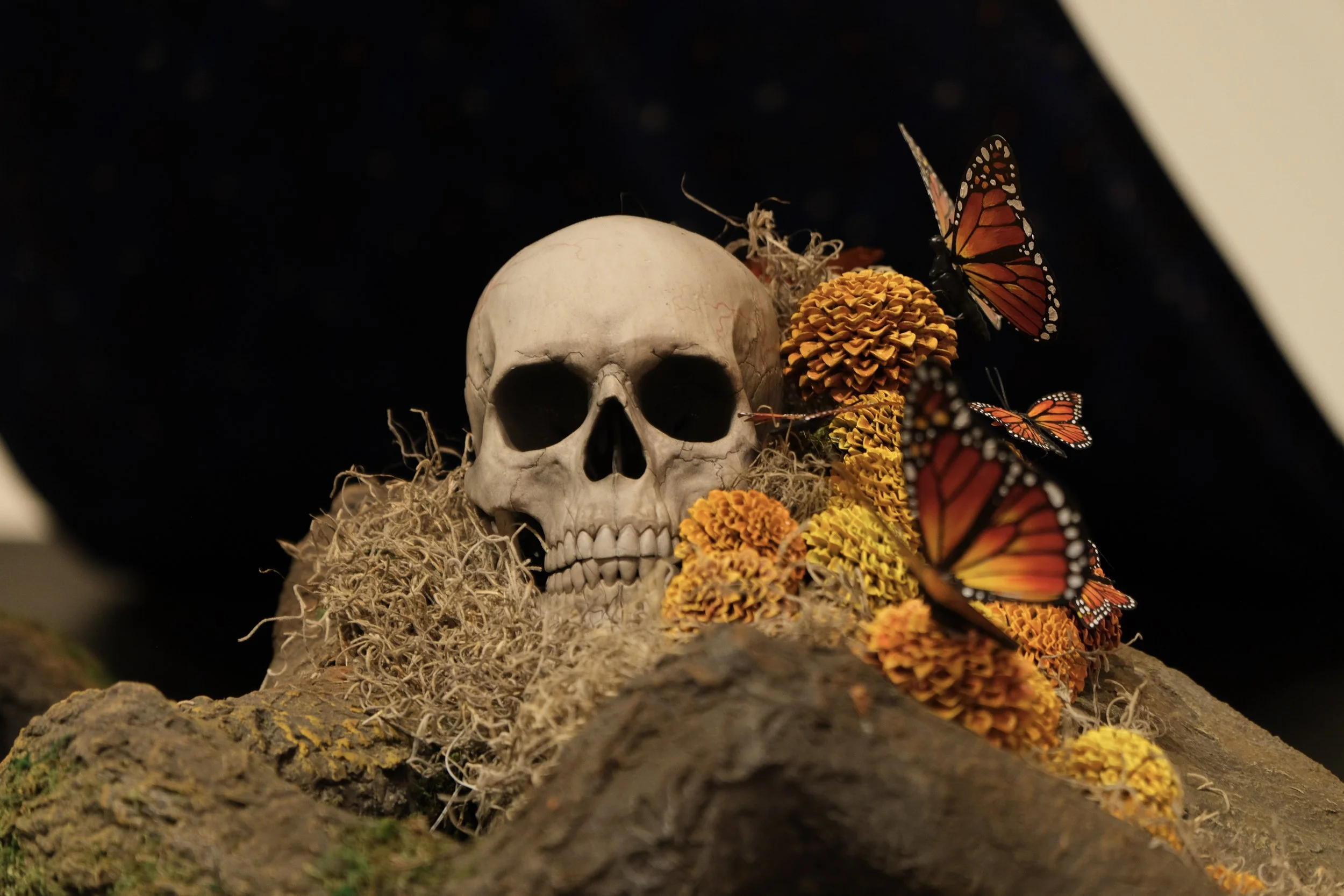 Special Hours | Día de los Muertos Festival
