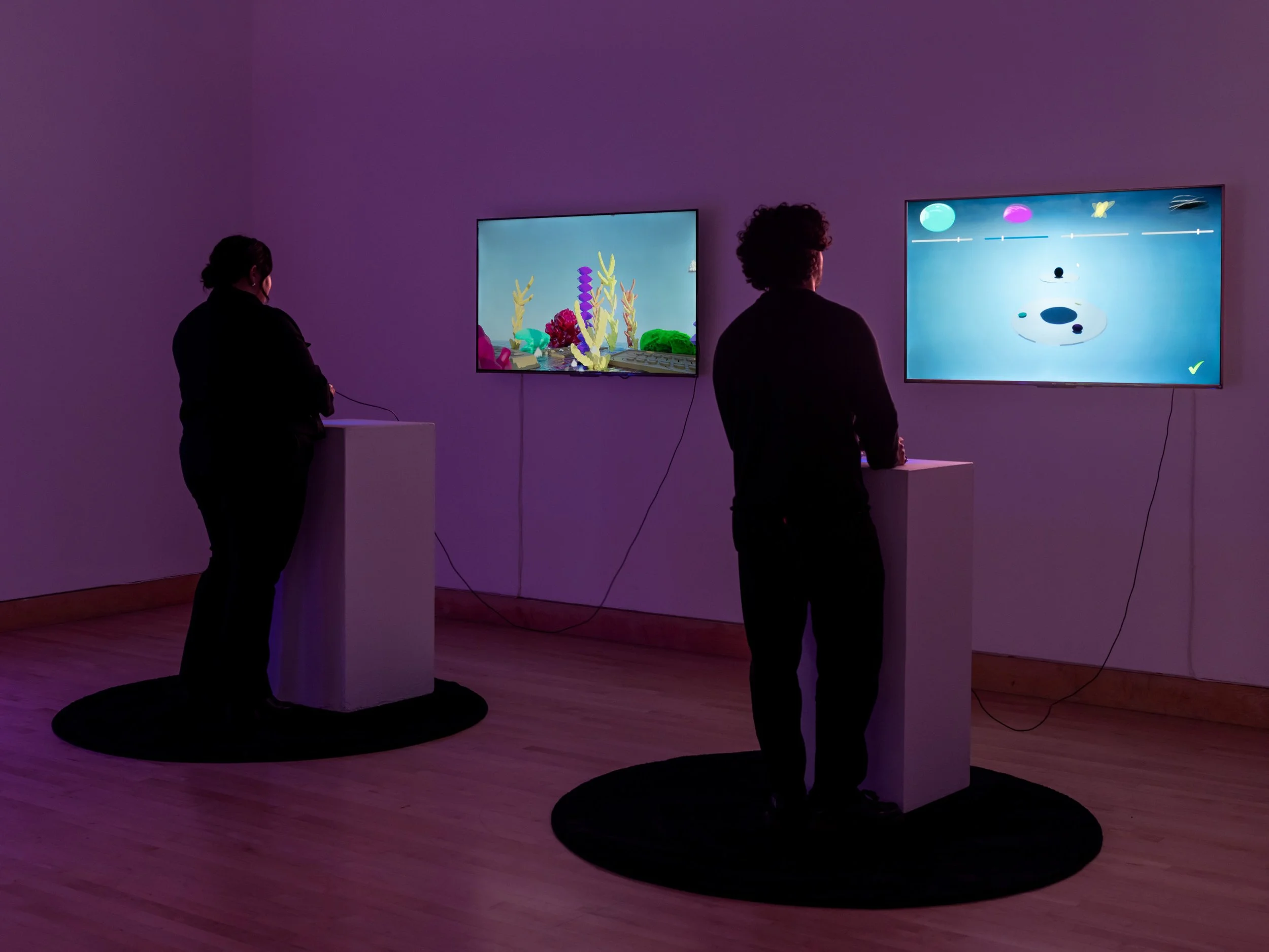 Public Tour | Cosmologies in Practice: Knowledge Systems in Designing the Infinite