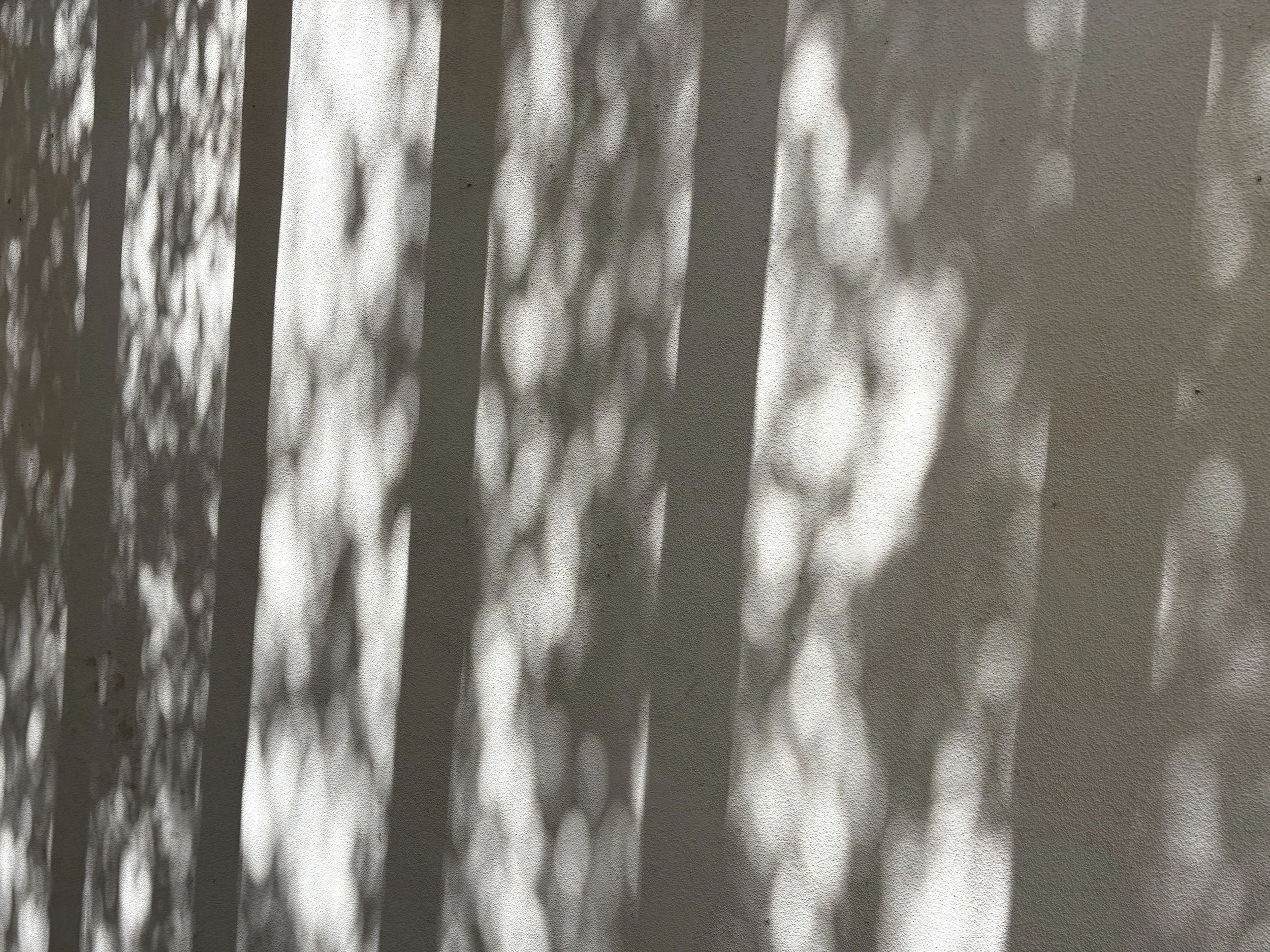 Shadow Drawing & Painting workshop