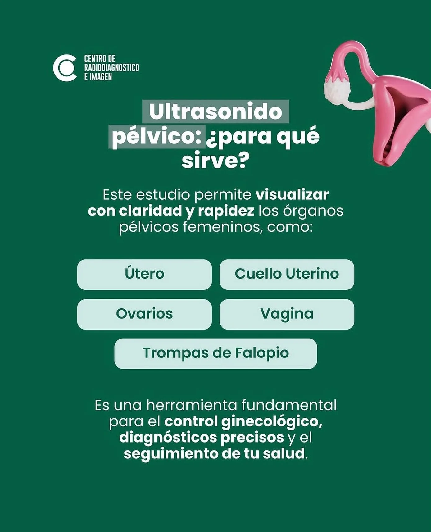 Este estudio permite visualizar con precisi&oacute;n los &oacute;rganos p&eacute;lvicos femeninos, como:

&ndash; &Uacute;tero
&ndash; Cuello uterino
&ndash; Vagina
&ndash; Trompas de Falopio
&ndash; Ovarios

Es una herramienta fundamental para el co