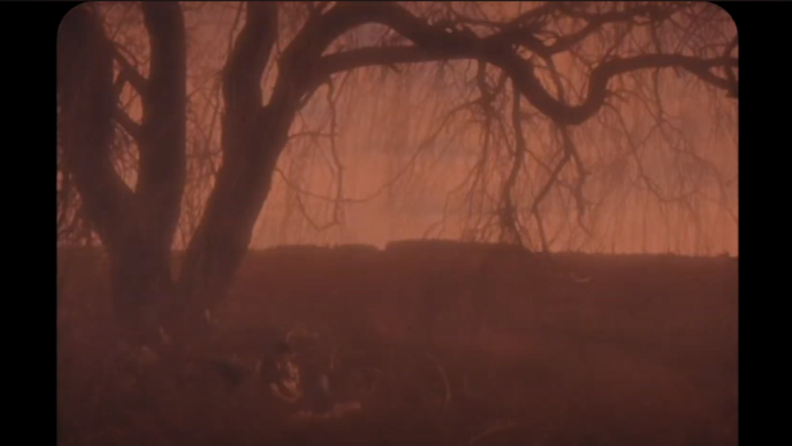 The Moon's Love Affair With The Sun