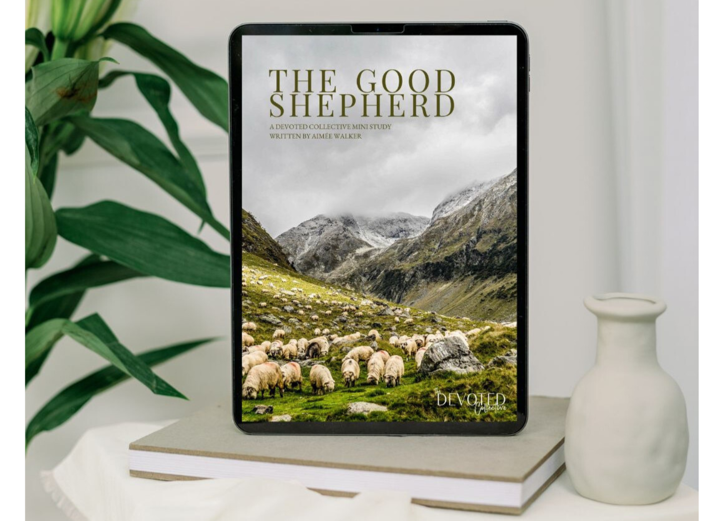 The Good Shepherd | Reflections on Psalm 23