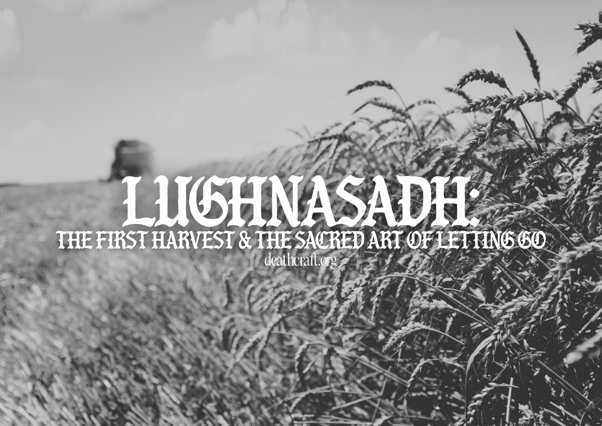 Lughnasadh: The First Harvest & The Sacred Art of Letting Go