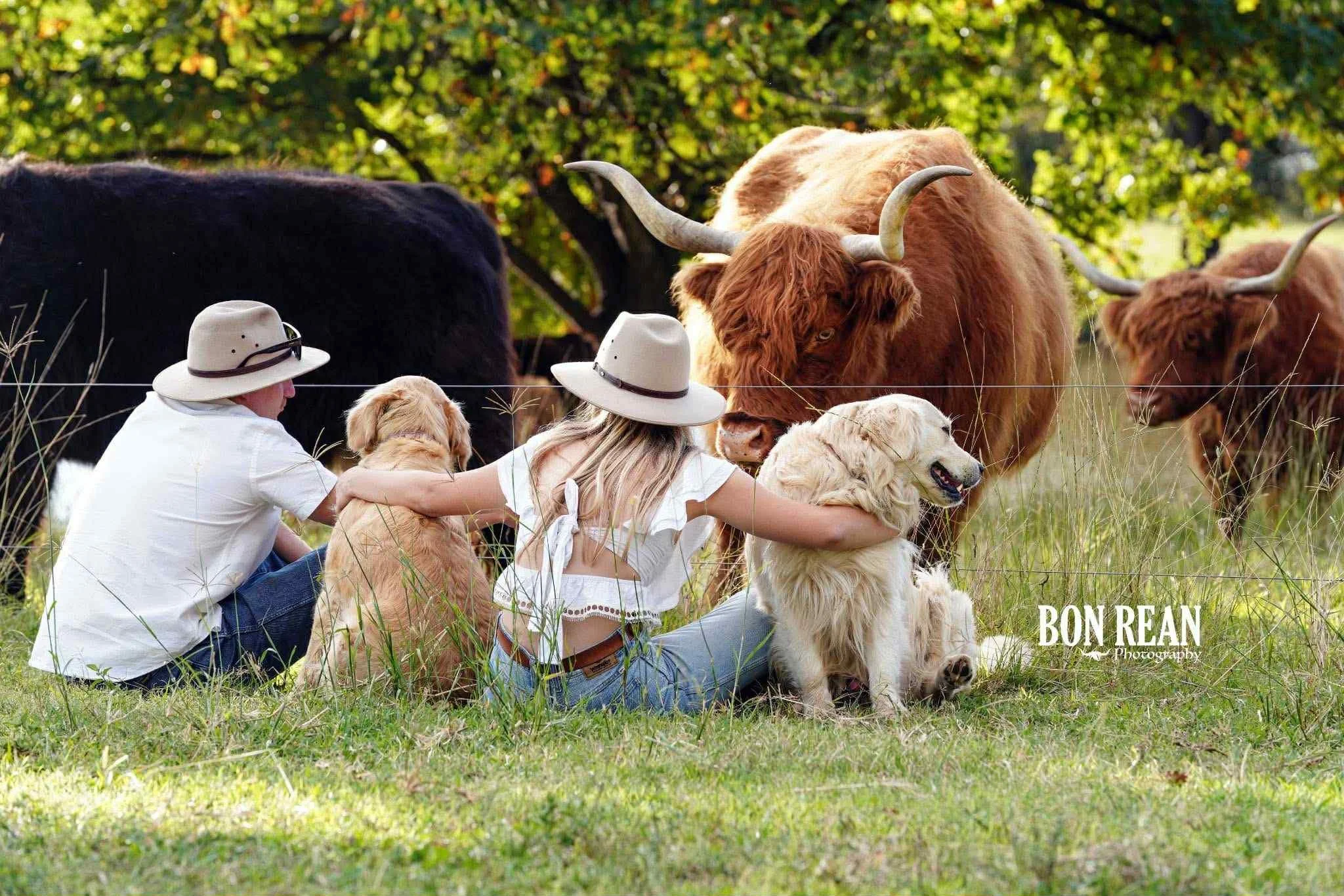 Two children, a girl and a boy, sitting on grass in a field with dogs and surrounded by cattle, petting and interacting with the animals.