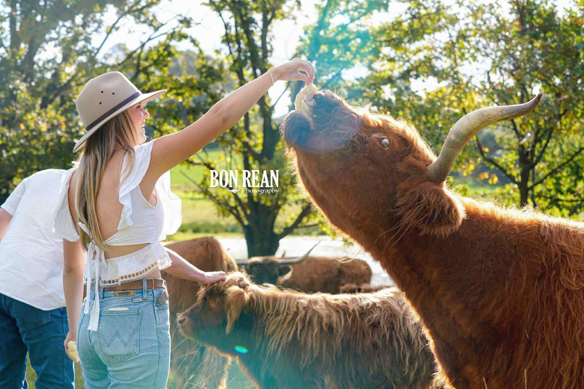 A woman wearing a beige hat and white sleeveless top feeding a buffalo in a green outdoor setting, with trees in the background and other animals nearby.