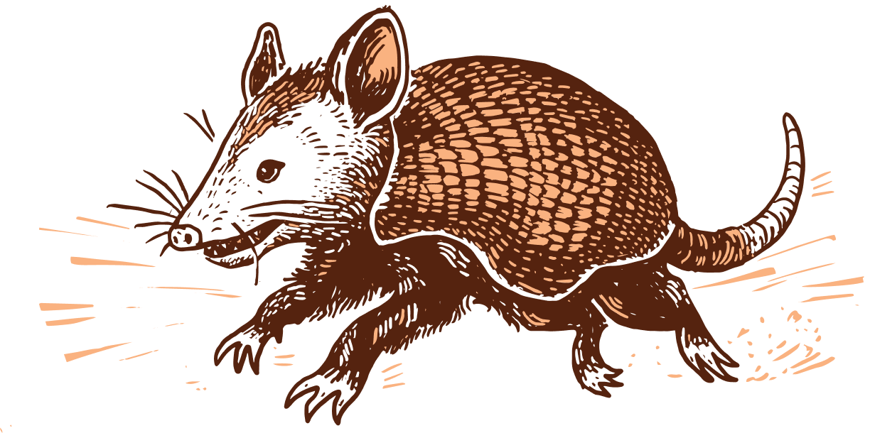 Illustration of the waverly possadillo