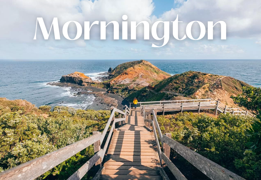 Greens Bush Nature Hike