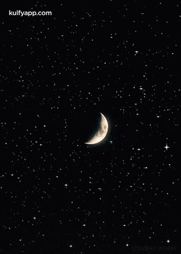 Harrison Bay Star Party