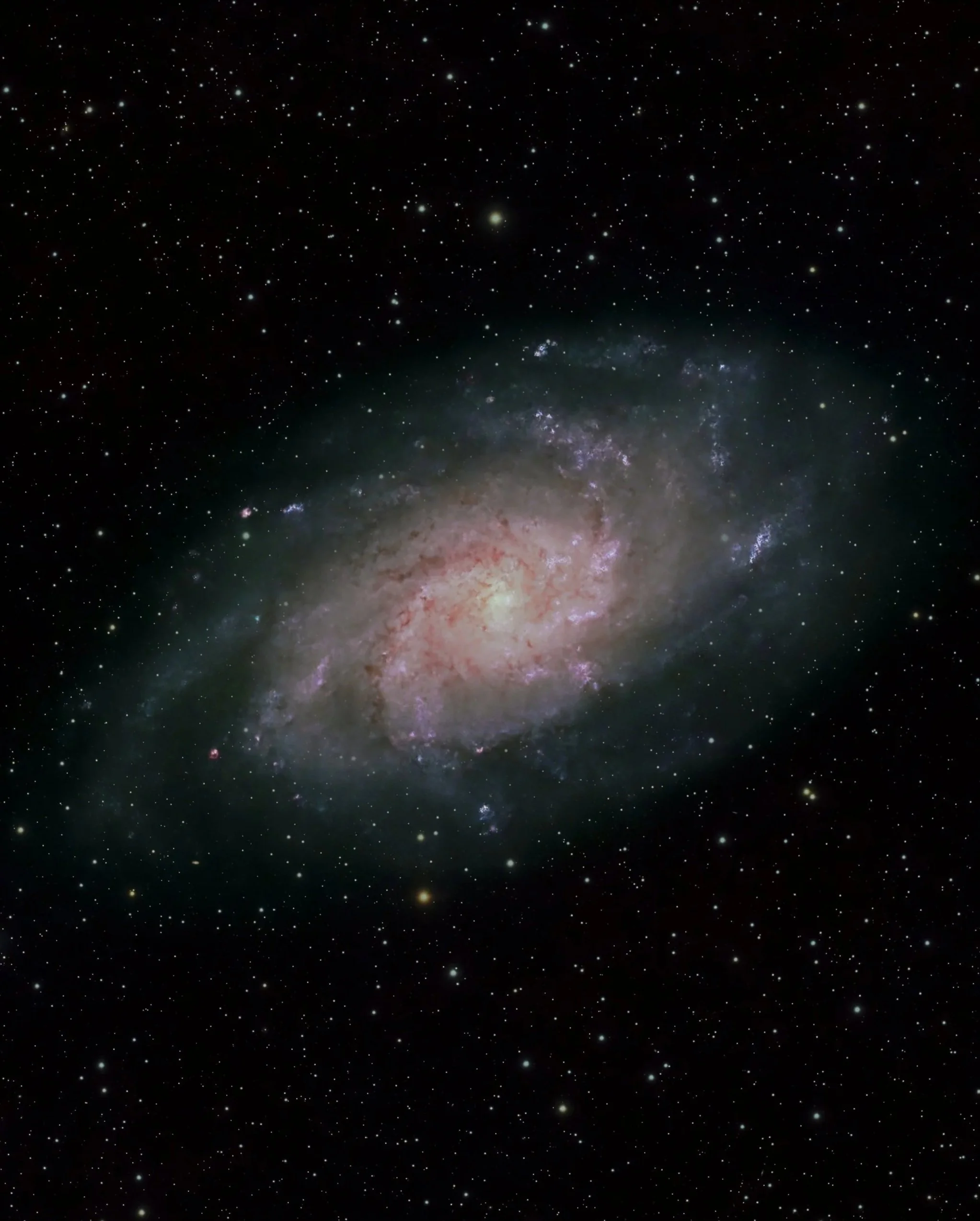 Harrison Bay Star Party