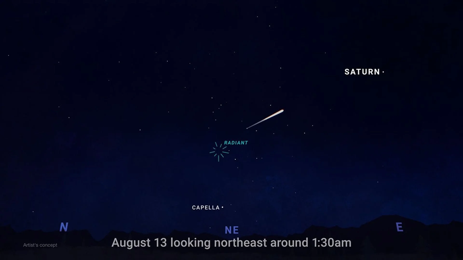 Perseid Meteor Shower
