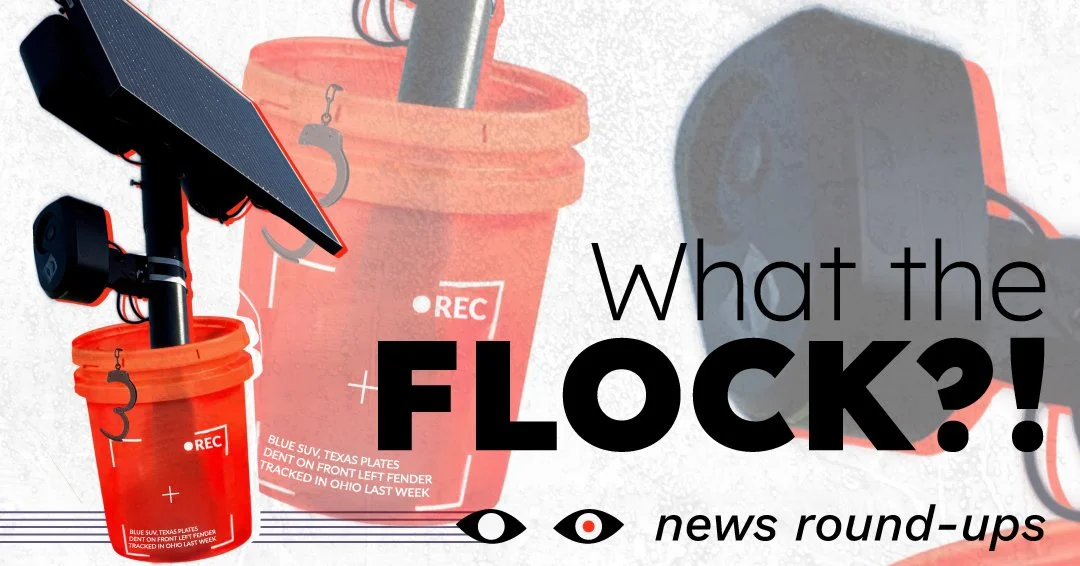 A composite image of Home Depot buckets containing Flock surveillance cameras, with the caption "What the Flock?! News round-ups"