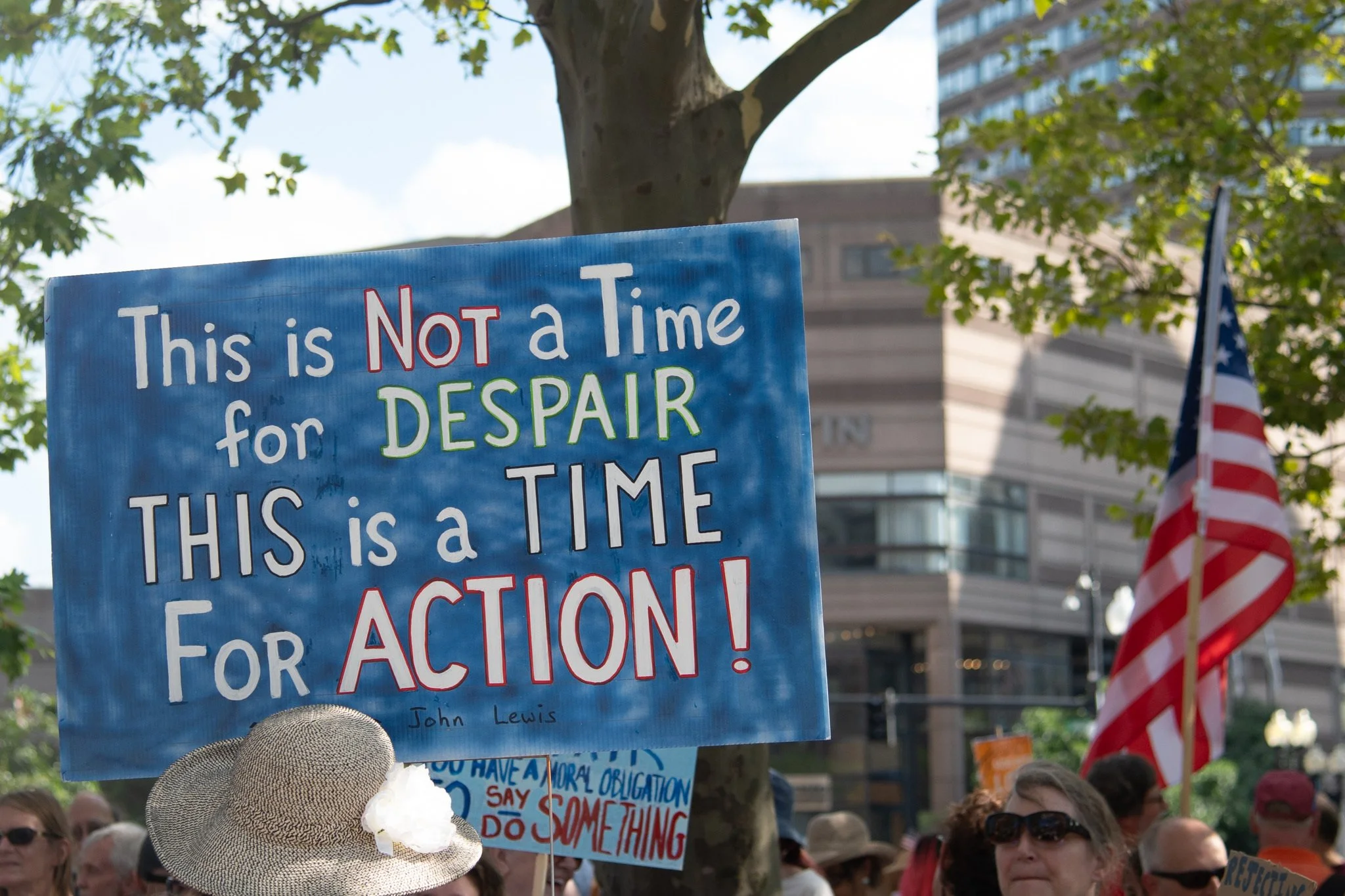 A protest sign saying "This is Not a Time for Despair. This is a time for Action!" in front of a tree and American flag