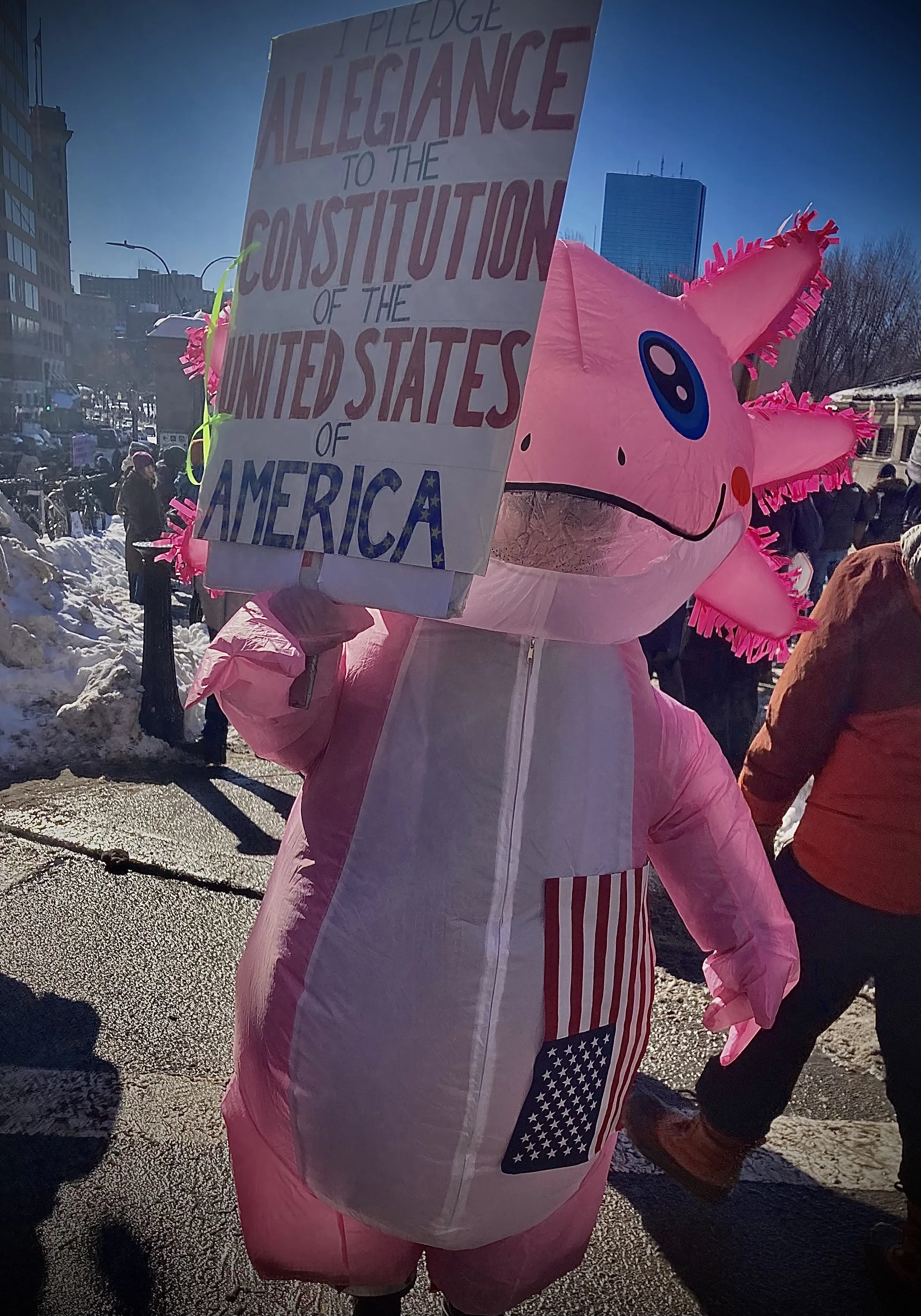 A protestor in an axolotl suit saying "I pledge allegiance to the constitution of the united states of america"
