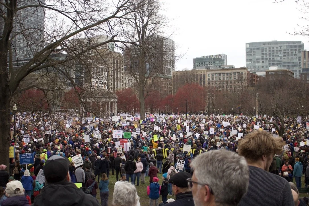 Protestors on Boston Common at a Mass 50501 protest.
