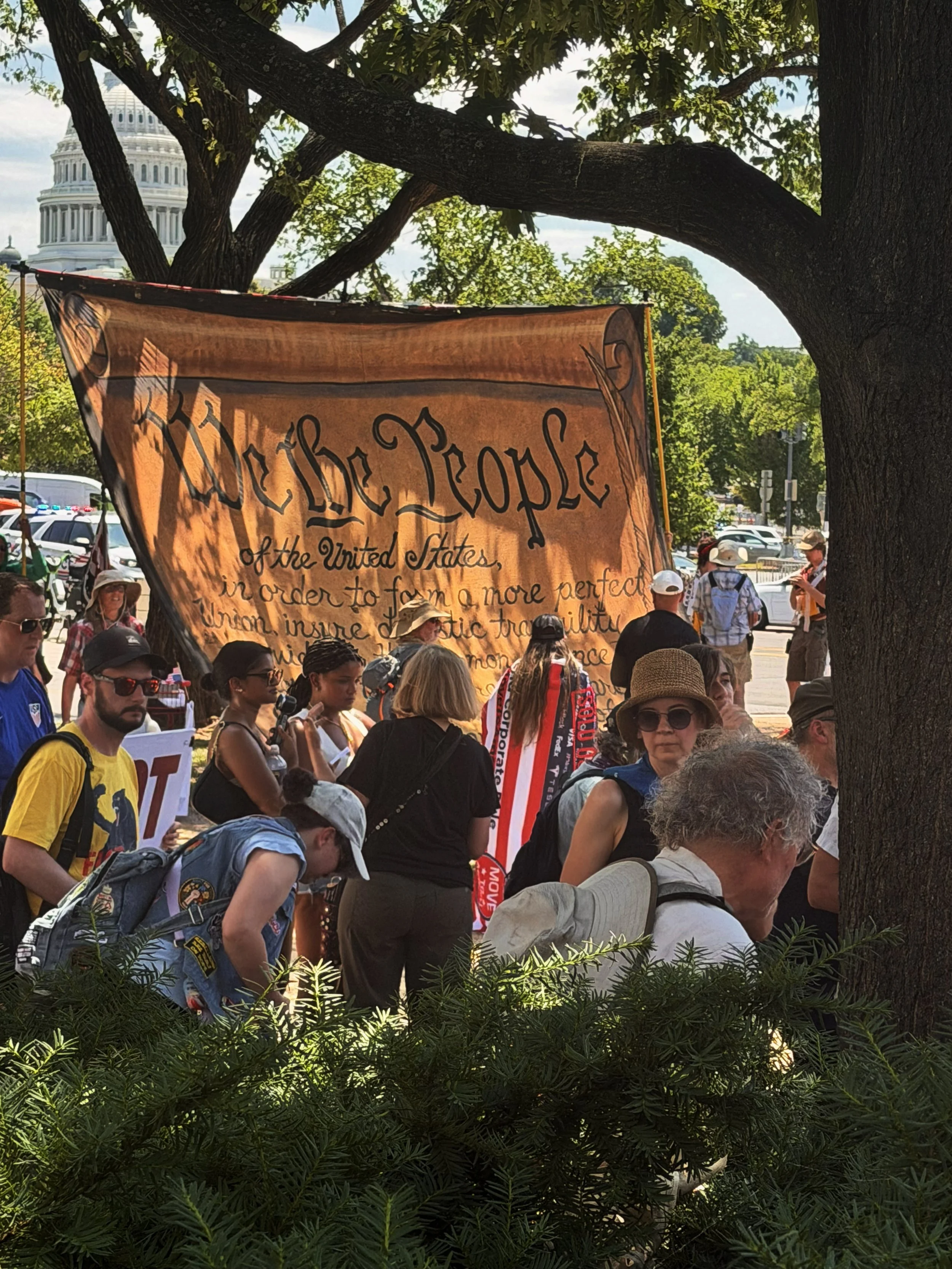 A view between a hedge and a tree of a small crowd of people in front of a large banner of the U.S. Constitution, with the U.S. Capitol visible in the background.
