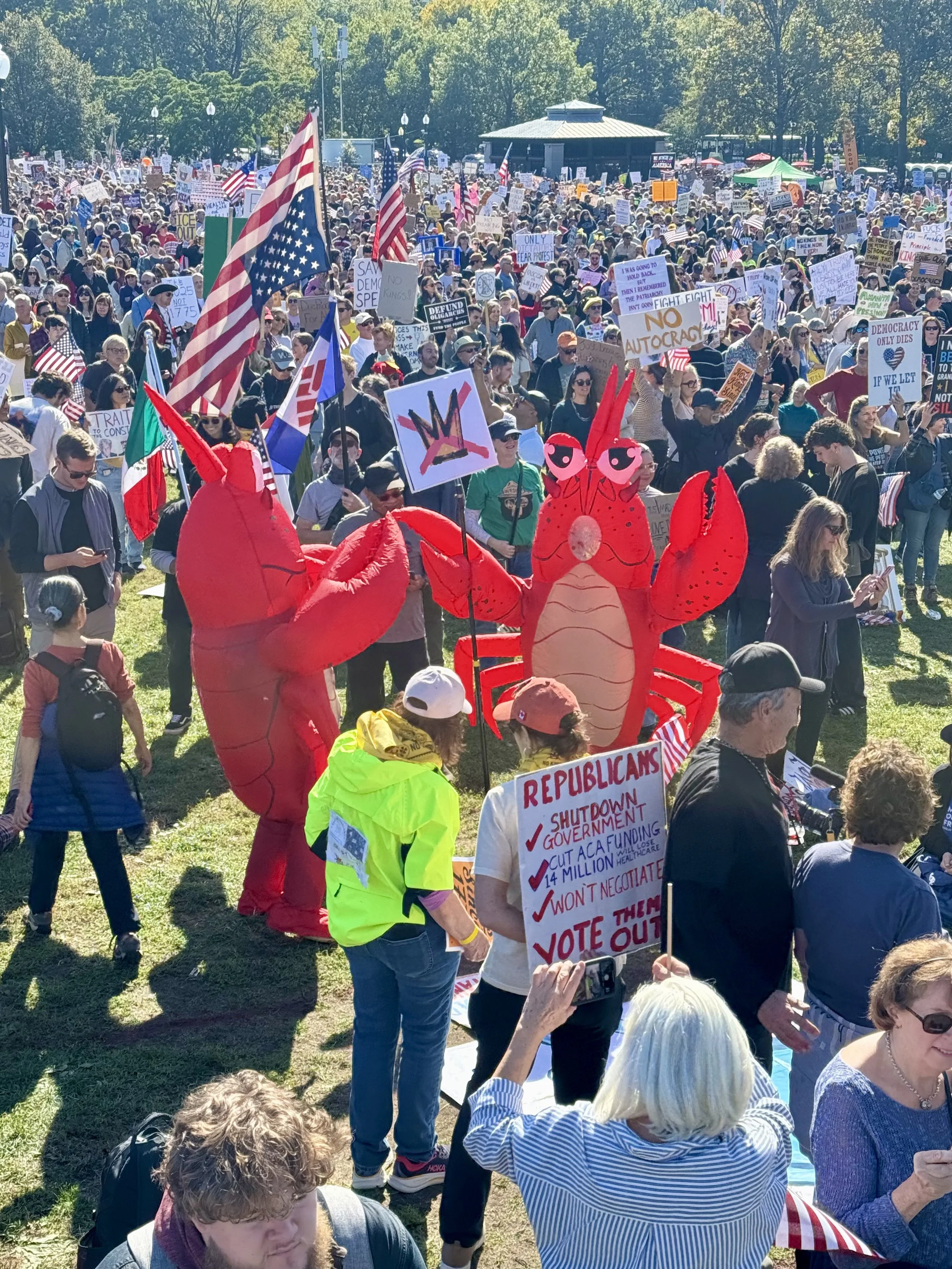 Crowd of peaceful protestors holding American flags, "No Kings" signs, and 2 people in lobster costumes dancing.